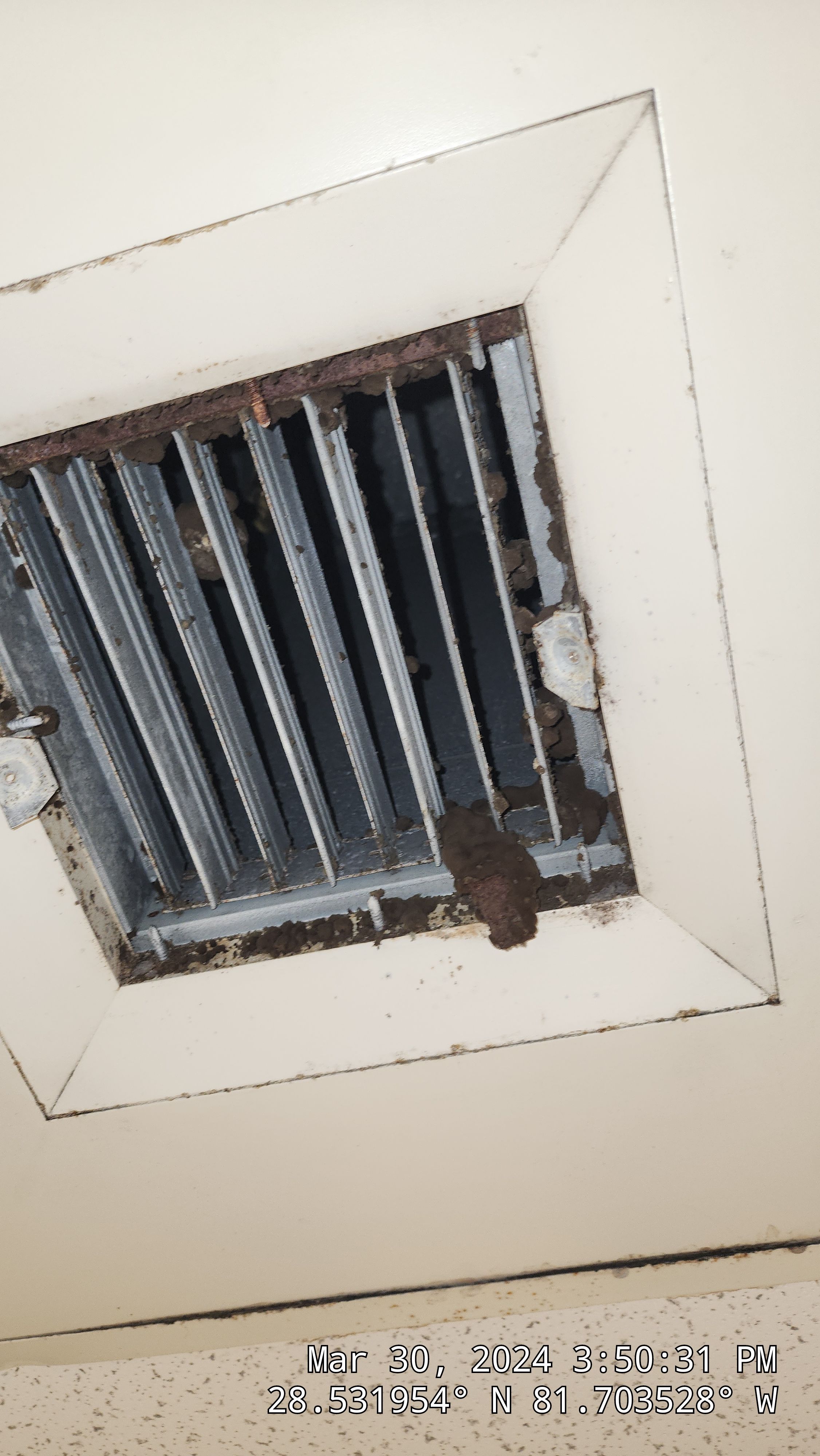 Commercial Air Duct Cleaning in Orlando by Hygienic Air, Inc