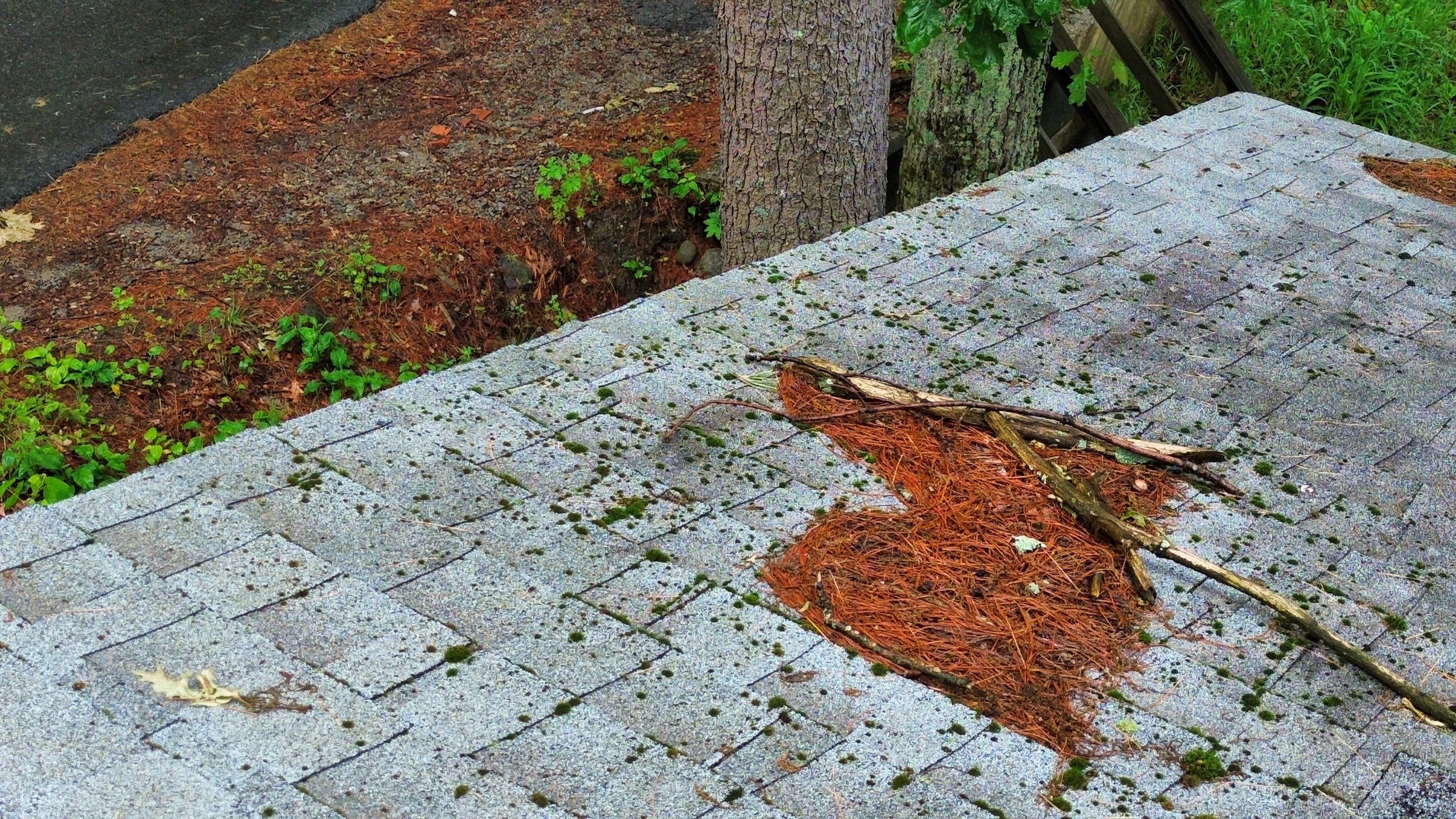 Leak Repair & Roof Wash – Groton, MA by Mighty Dog Roofing of Greater Middlesex County