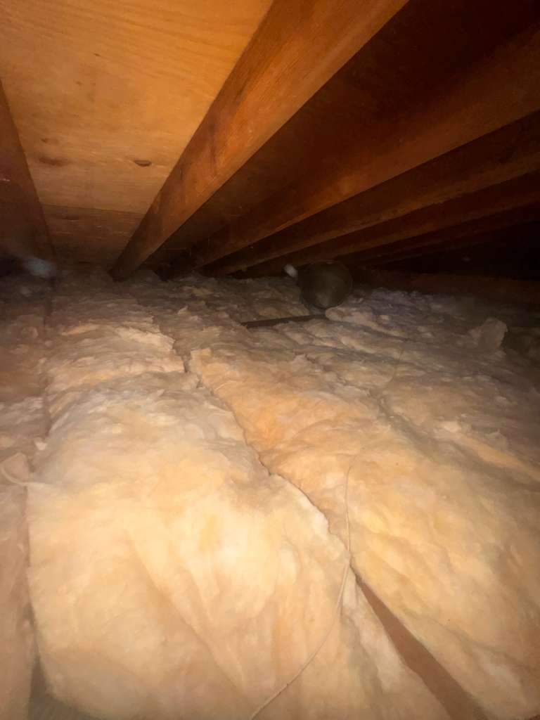 Project by Advanced Attic Solutions by Advanced Attic Solutions