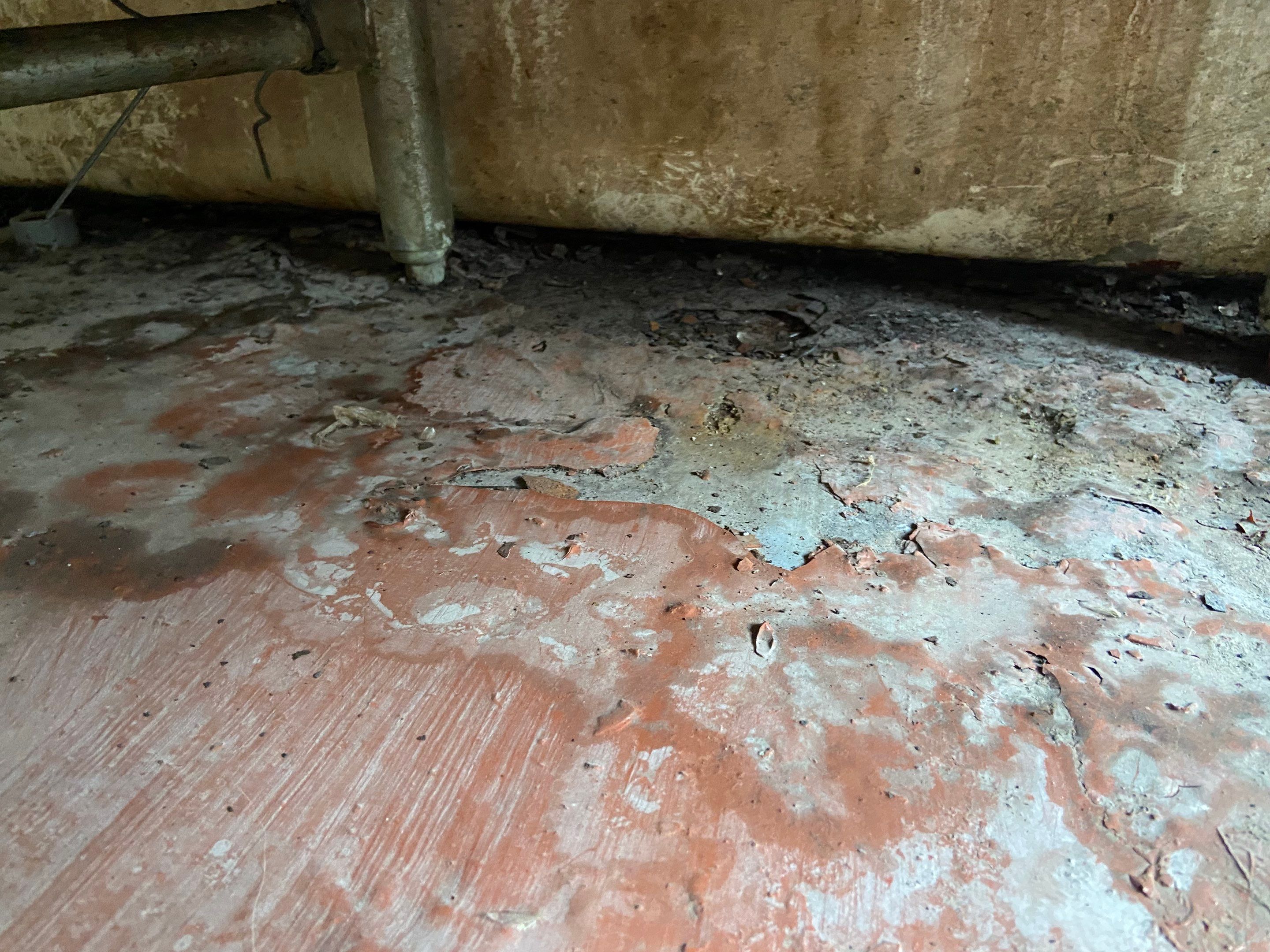 Gateway Clipper Project in Pittsburgh by Floors in a Day, Inc