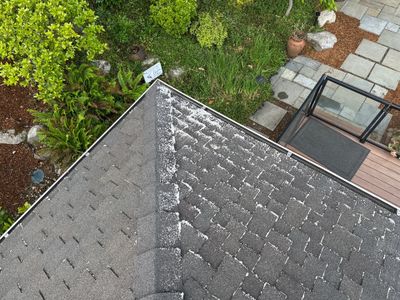 AGS Roof Wash in Sammamish
