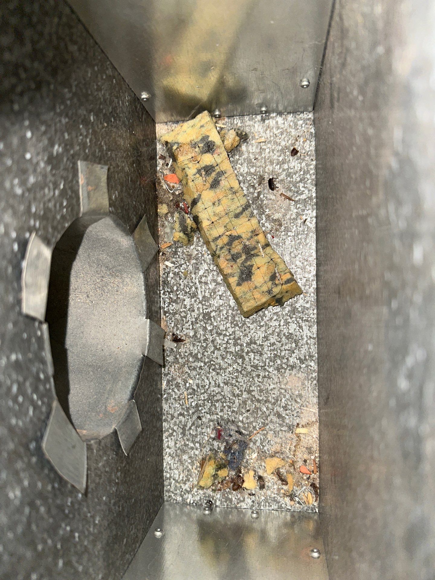 Air duct cleaning using Commercial vaccum by Pronto Air Duct Cleaning