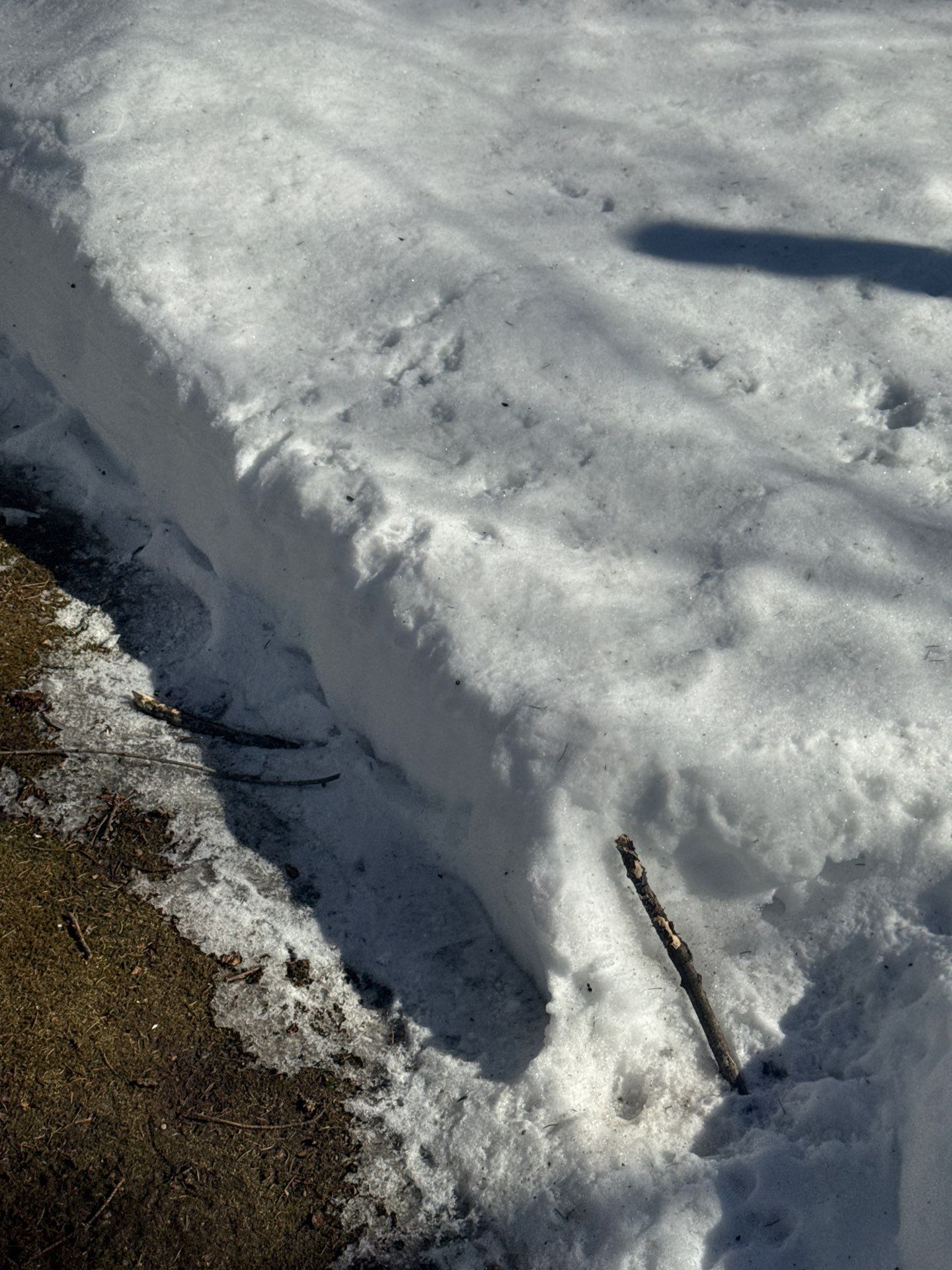 Snow/Ice Belt & Ice Dam Removal Project in Woburn by Mighty Dog Roofing of Greater Middlesex County