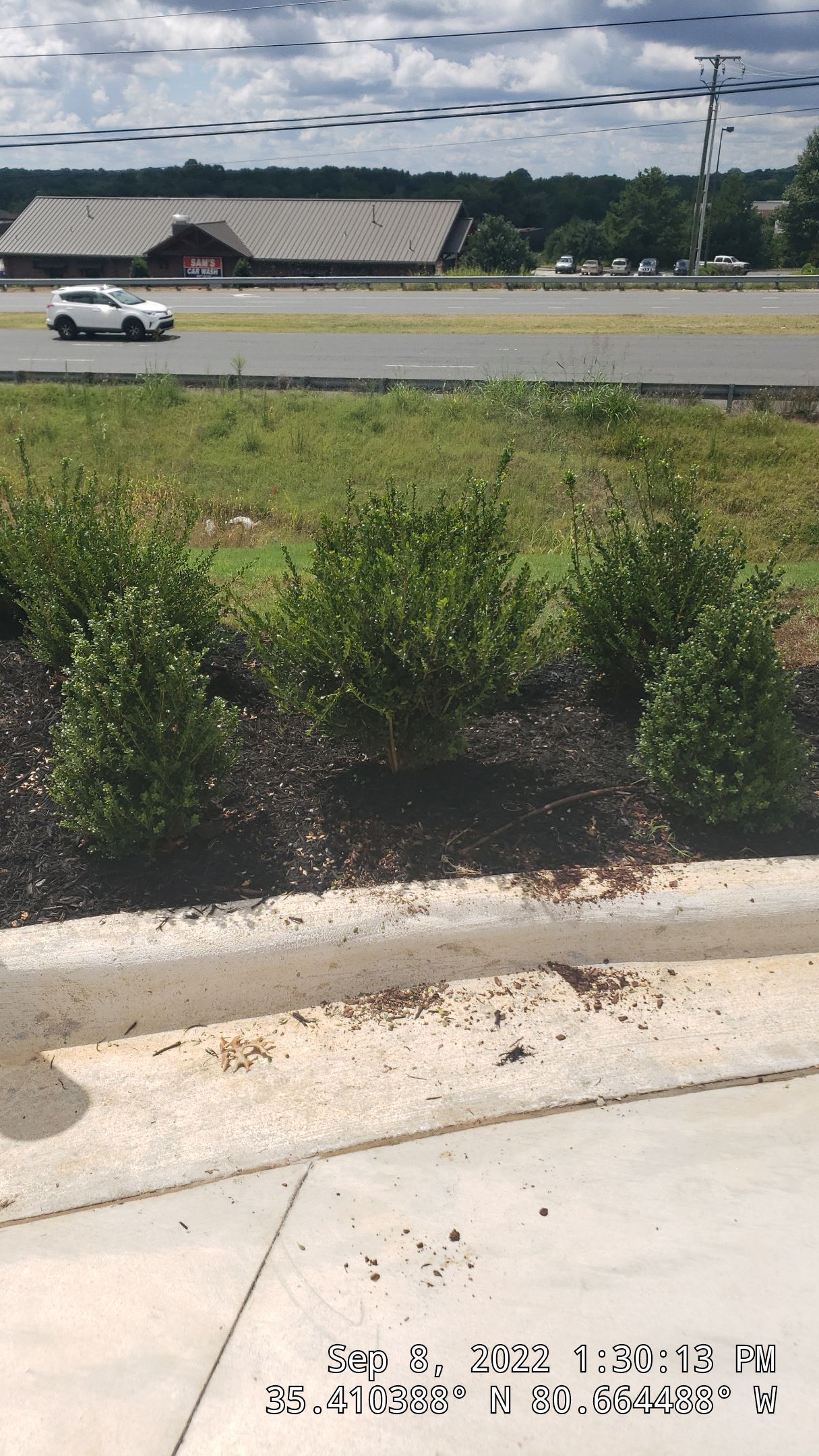 Commercial Landscaping Harris Teeter Fuel Station by Carolina-Metro Landscape, Inc