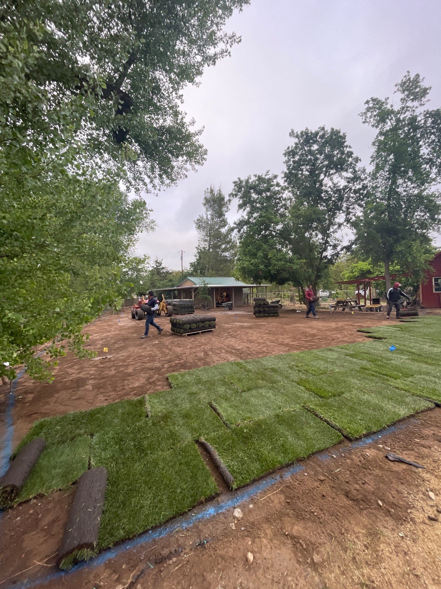 Project in Clements by A - G Sod Farms