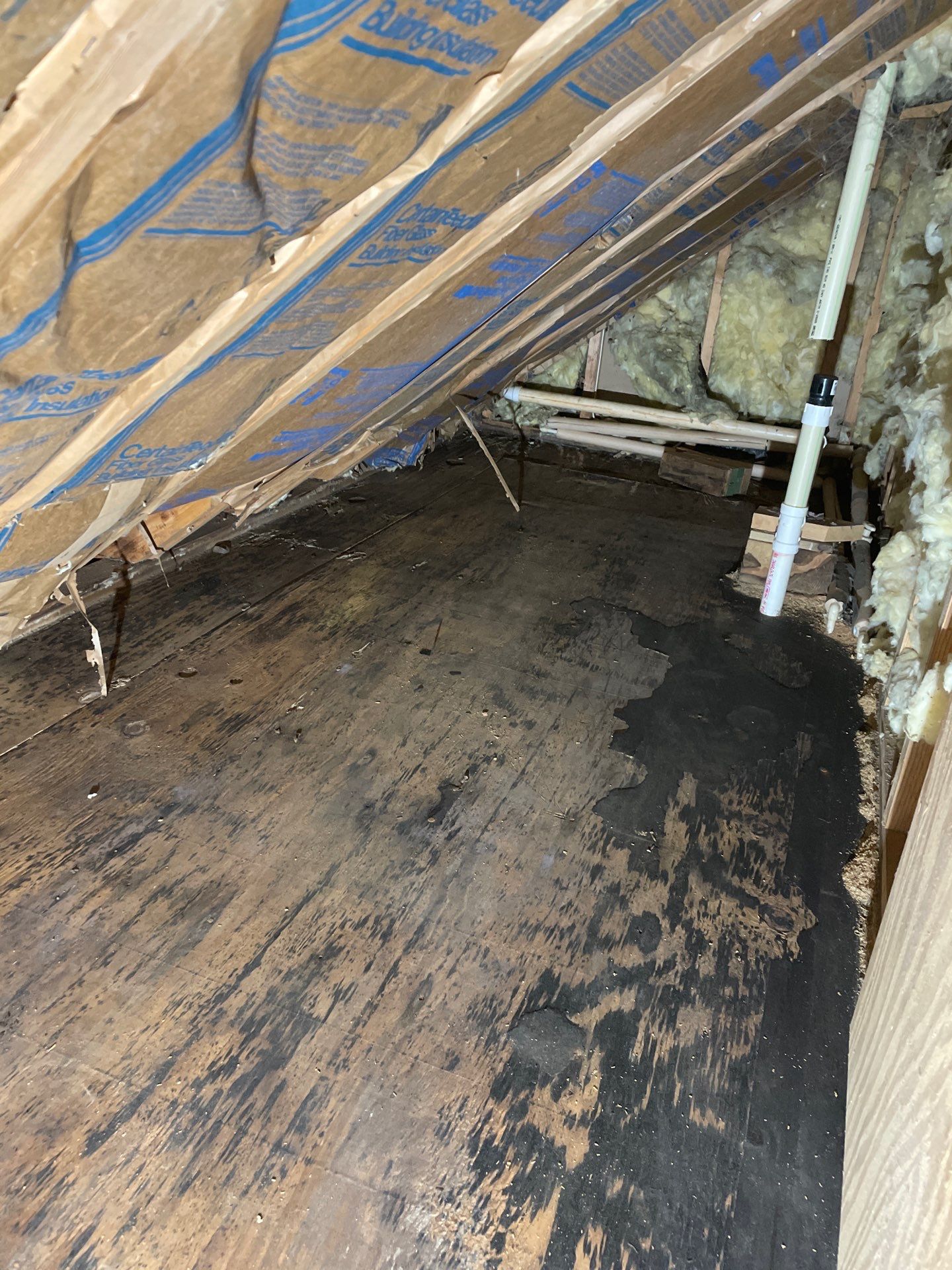 MoldTrust, Inc featured photo.