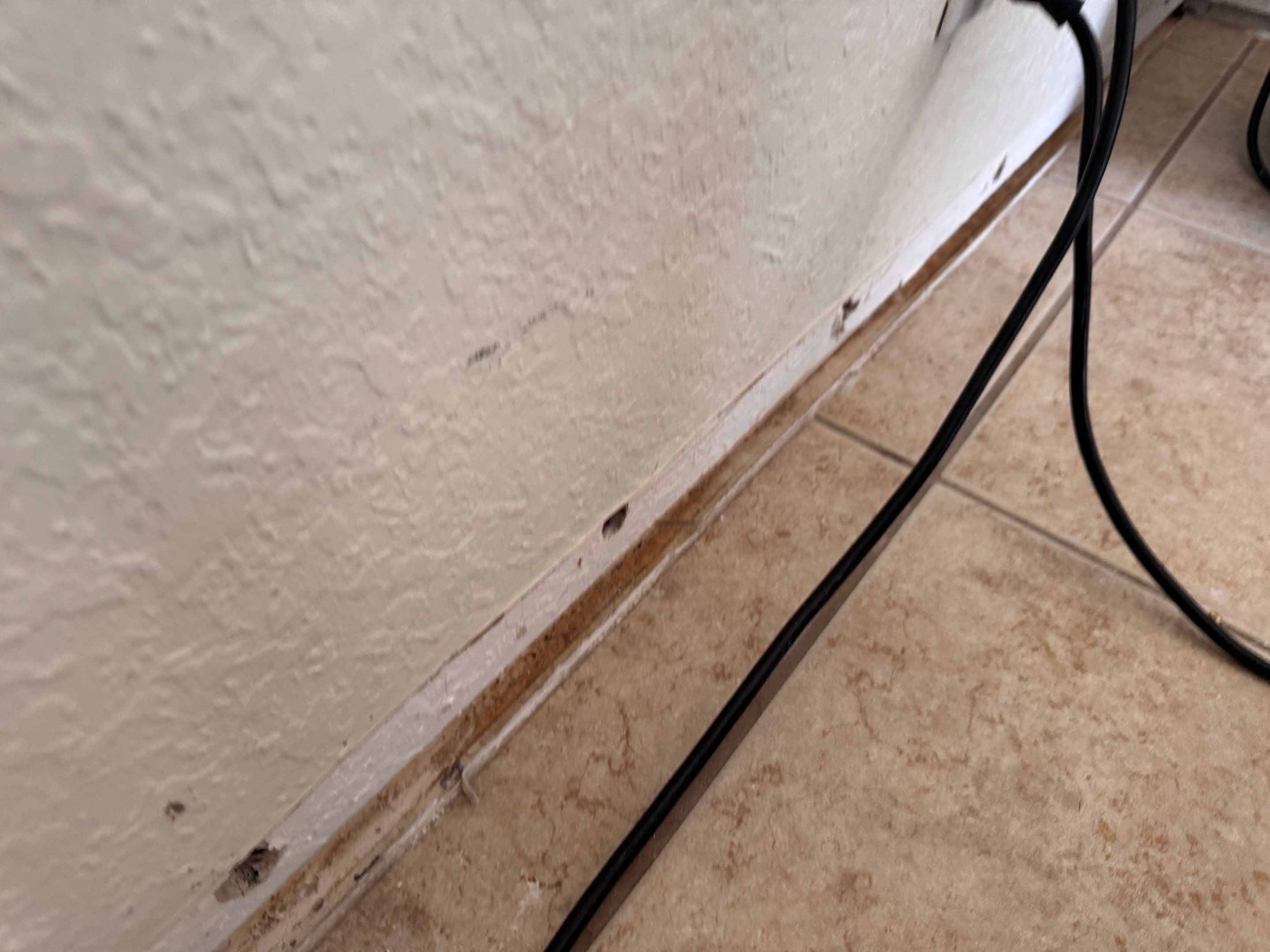Water Damage Claim in West Palm Beach by FLAPA & KeyStone