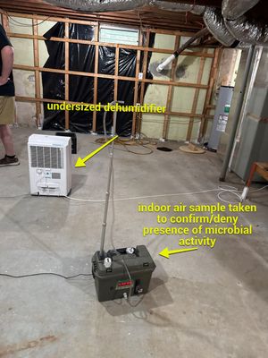 Post‑Remediation Clearance Test & Corrective Mold Remediation, Dover, DE.