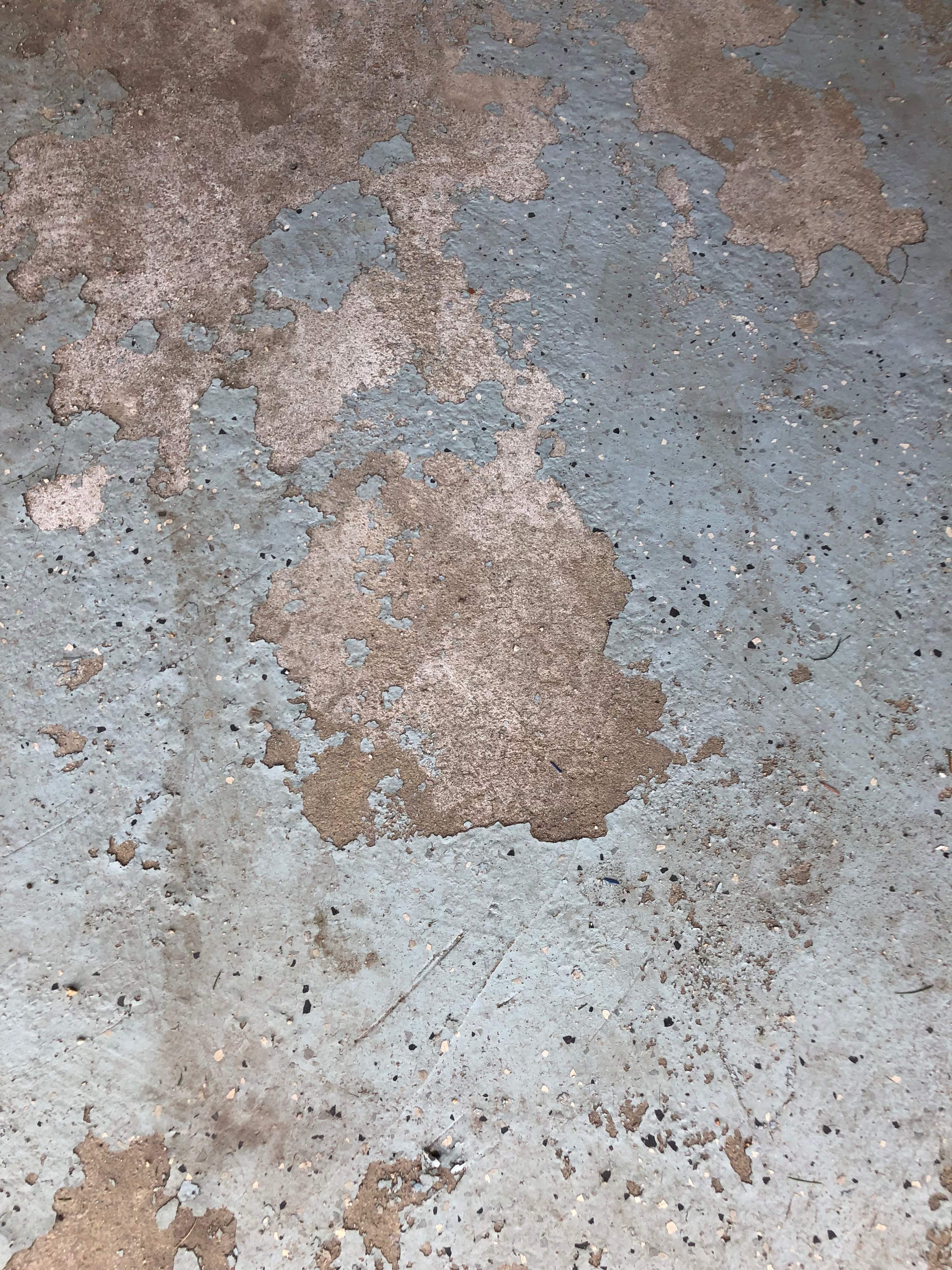 Garage in Nashua, NH 03062 by Symphony Concrete Coatings