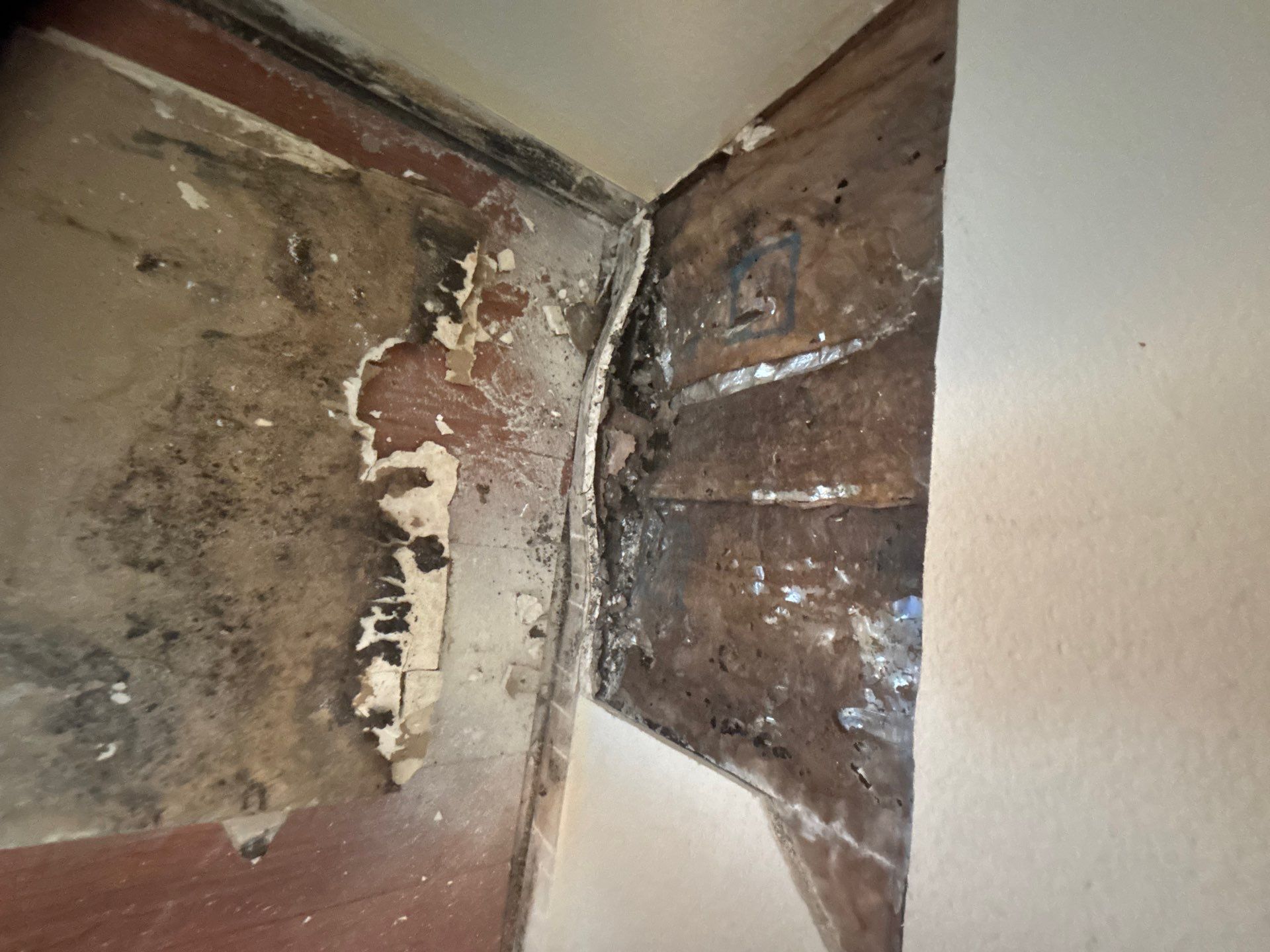 Water Damage Inspection In Bradenton Florida by Ampm Restoration Services