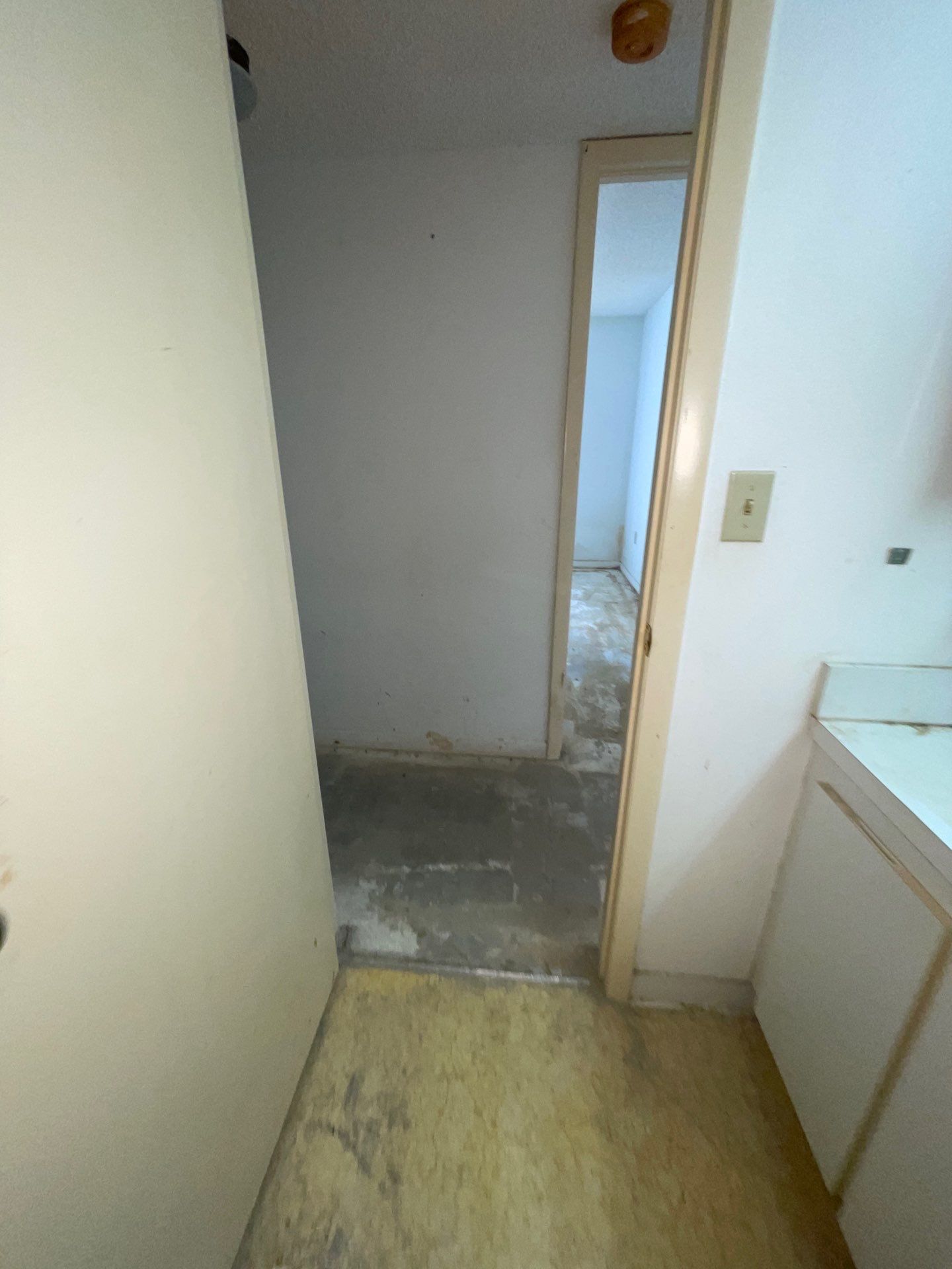 Horder house with Mold and Bacterial Contamination Issues  by Bay Coast Restoration 