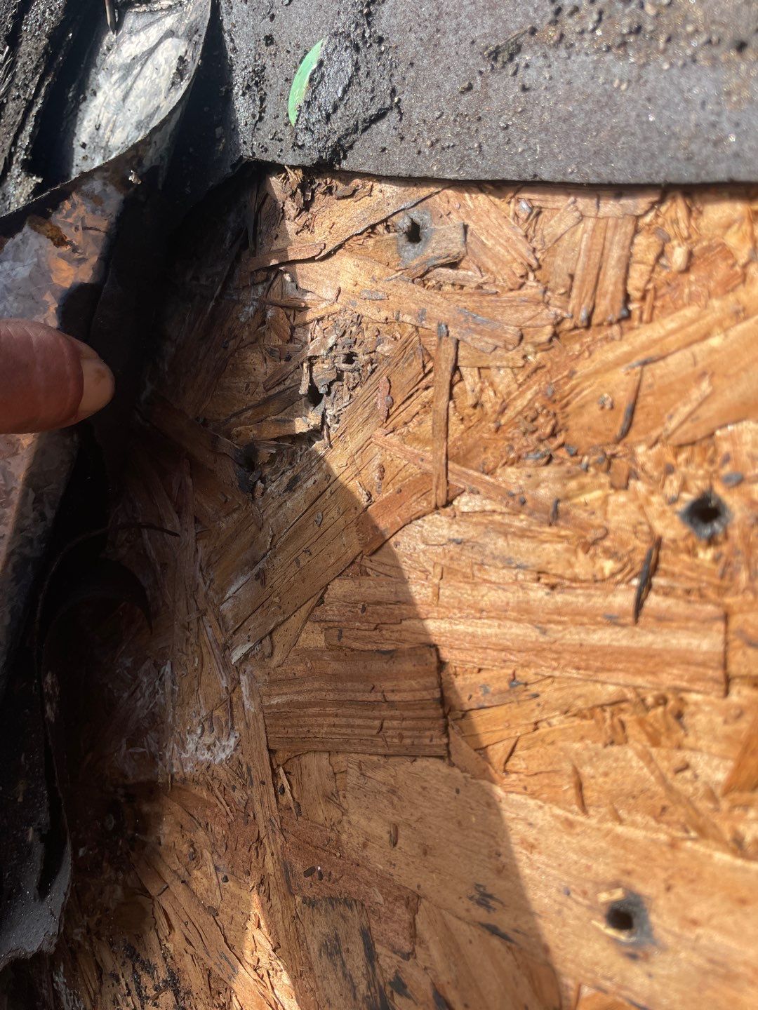 Residential Roofing Repair using Asphalt Shingles by RoofSmith of Tampa Bay
