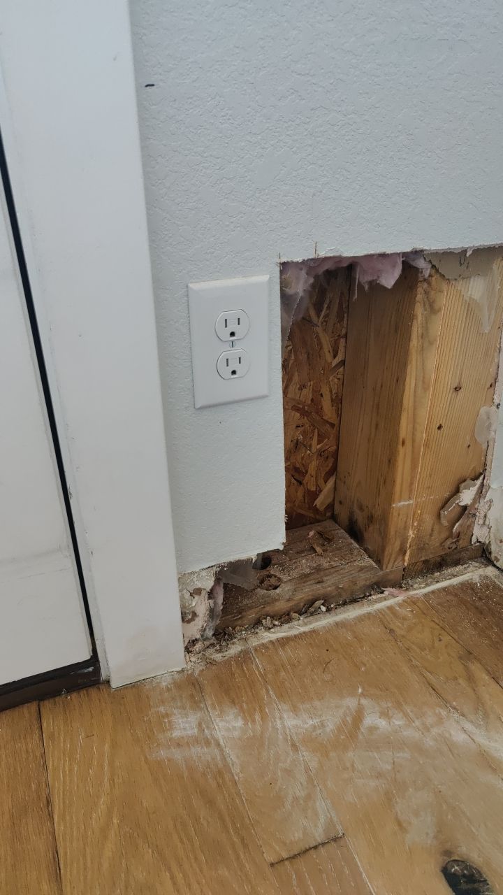 Mold Remediation  by Accountable Home Services