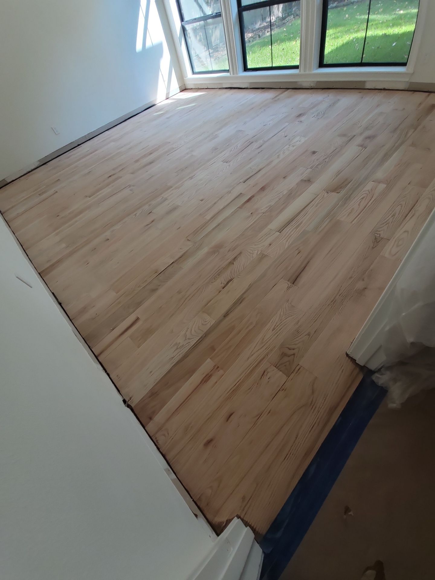 The Napolitano Family by SophAlx LLC