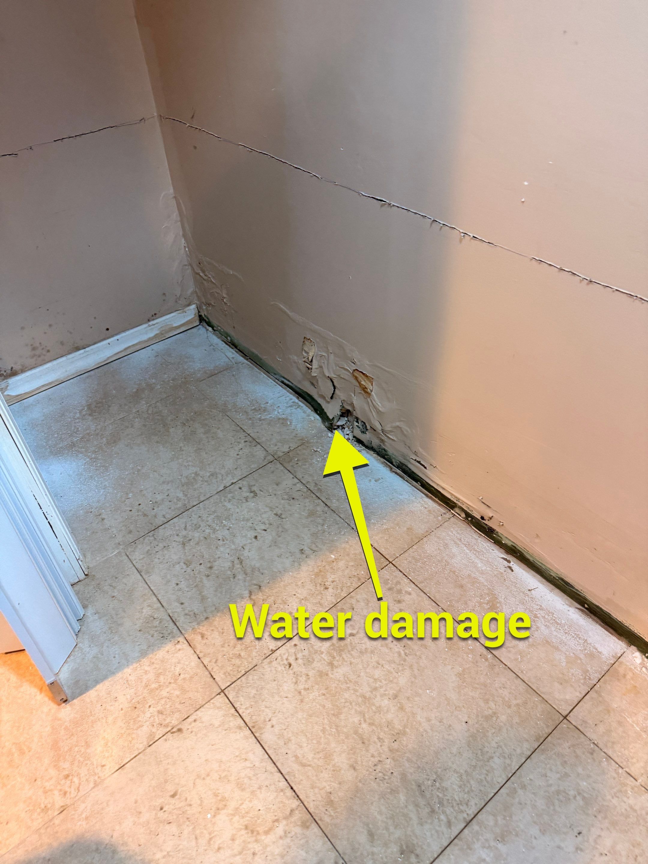 Water Damage by Newhouse Restoration