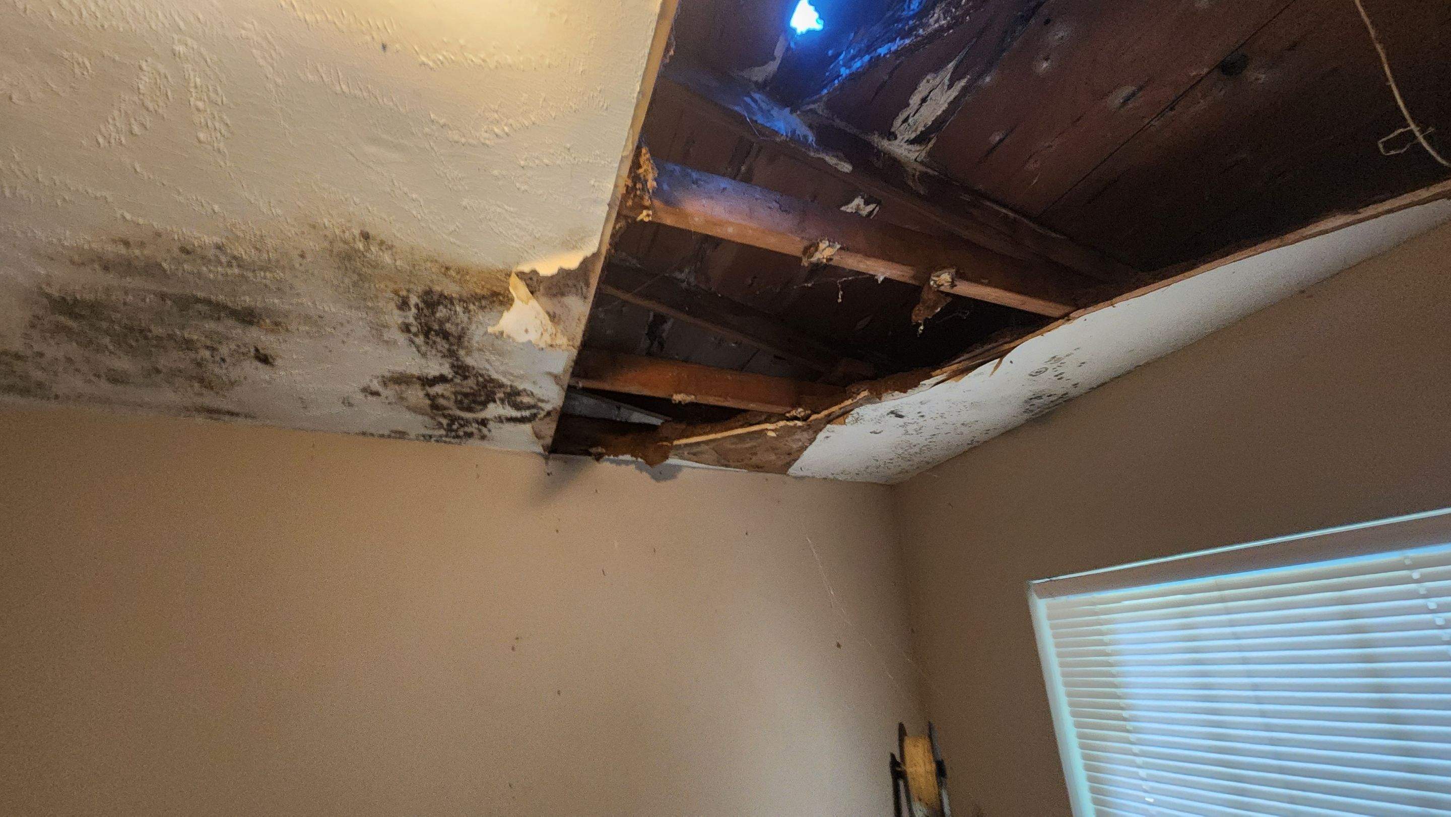 Tree Damage Claim in Orlando by FLAPA & KeyStone