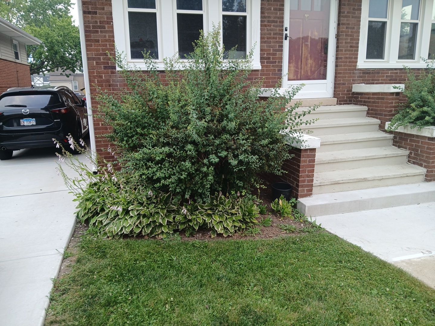 Veronkia S. - Mount Prospect, IL by A&N