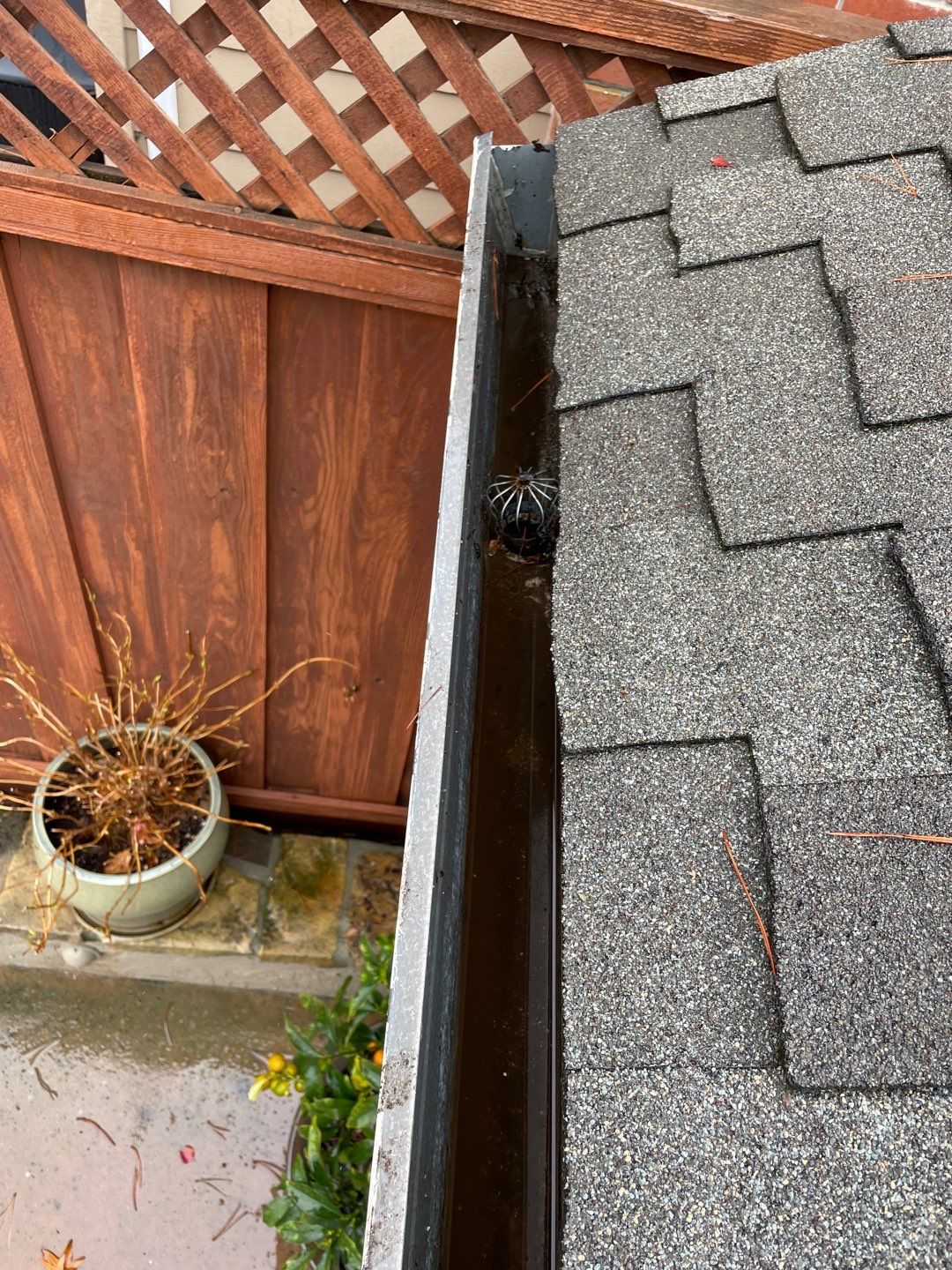 San Jose Gutter Cleaning on a 2 story home by All One Solar Shine