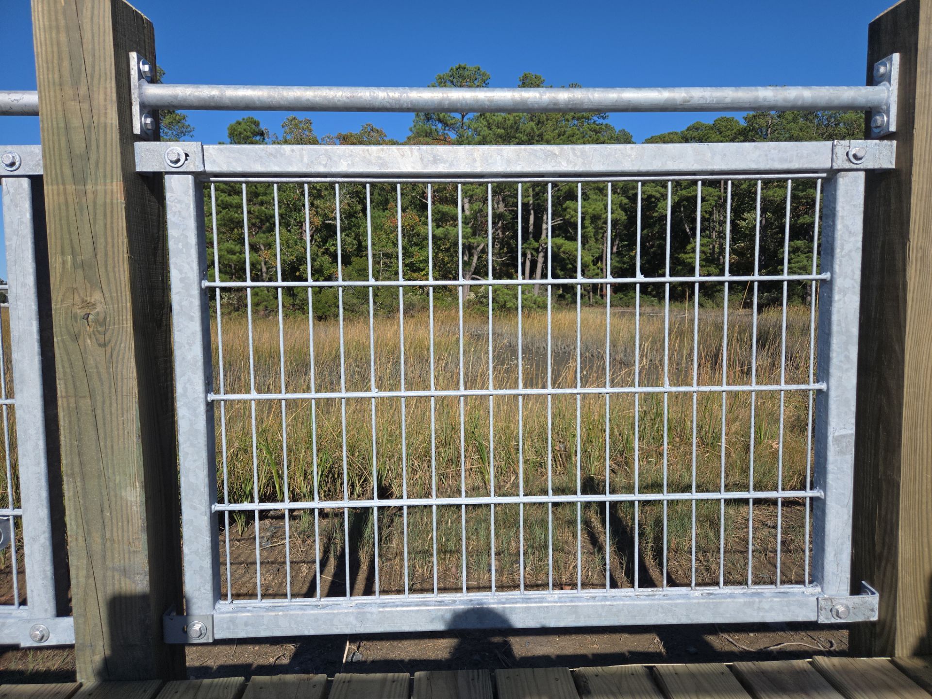 Project in Virginia Beach by Gregory Sandstrom