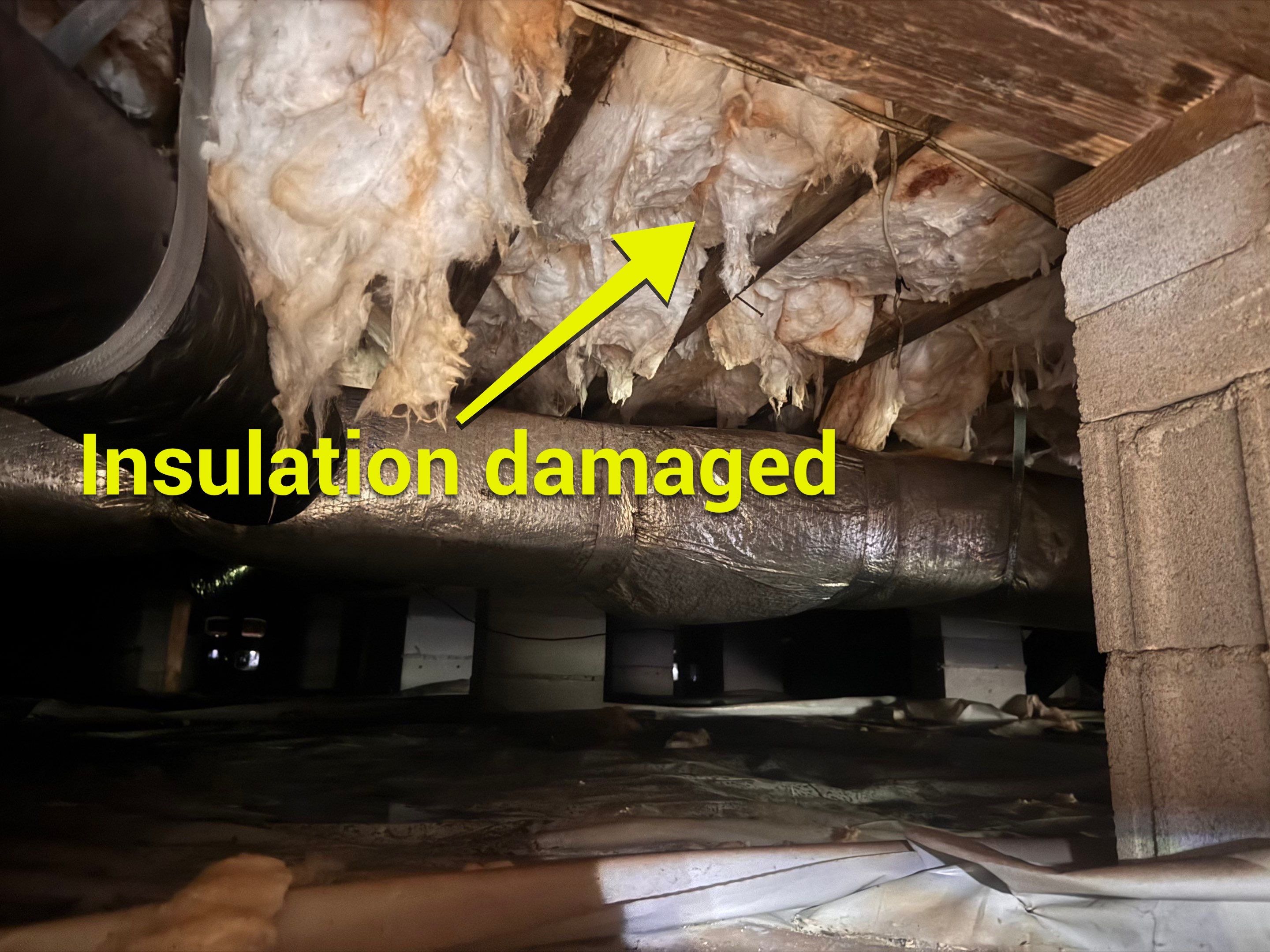 Moisture Barrier, Mold Clean, Structural Repair, Dehumidifier, R19 Insulation. by Impact Crawlspace