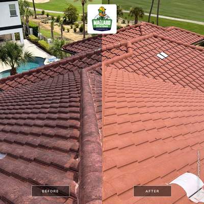 Tile Roof Cleaning on Reunion Resort Residence