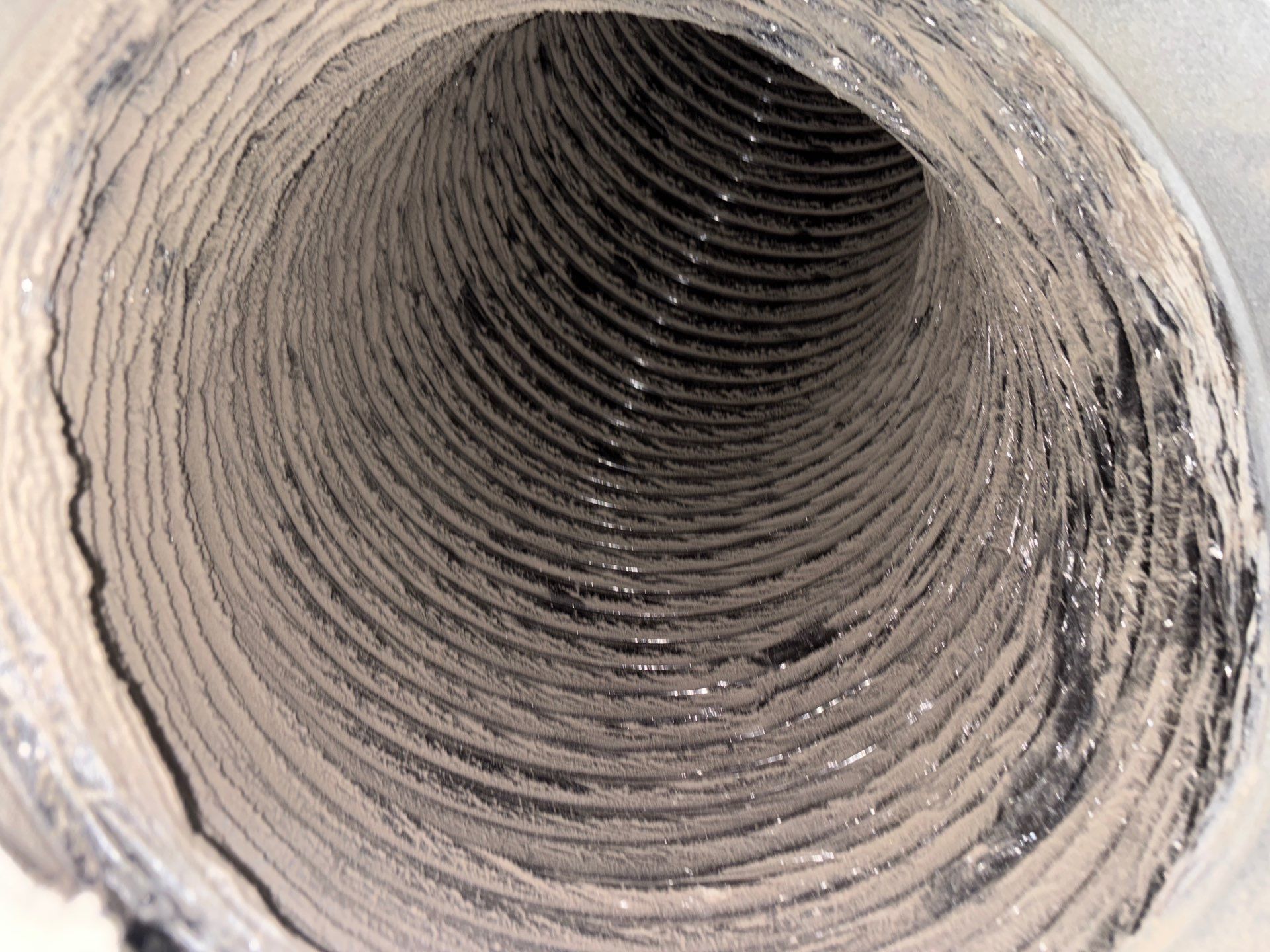 Air Duct Cleaning in Clermont by Hygienic Air, Inc
