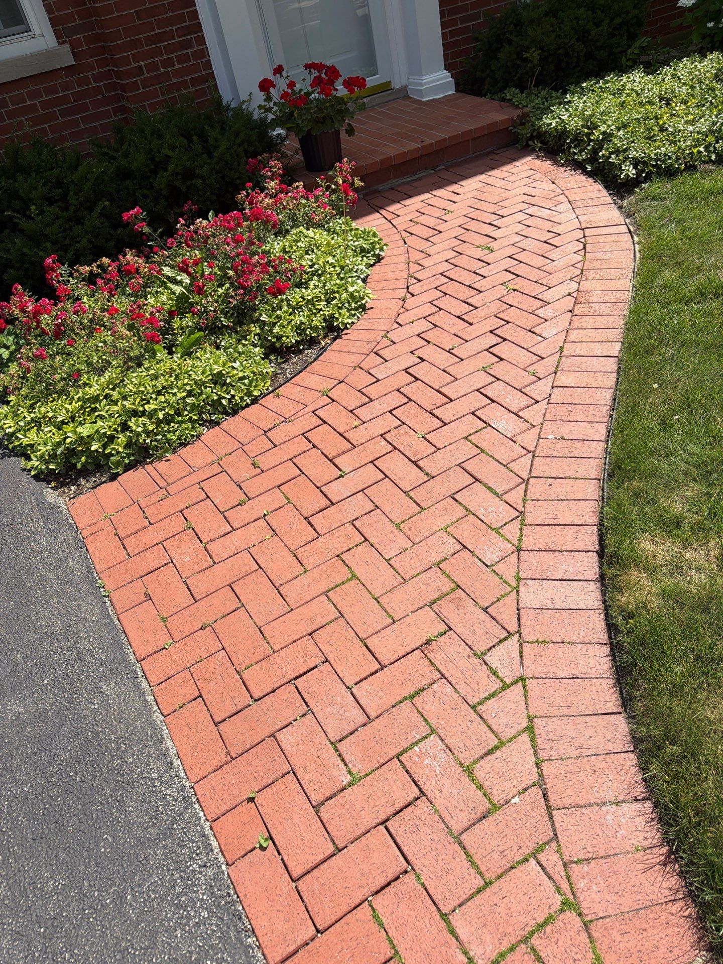 Brick Paver cleaning, sanding, seal by Northern Power Washing LLC.