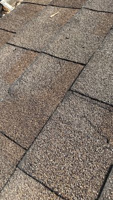 Turtle Shell gutter protection installation in Naperville, IL 60563, photograph 13