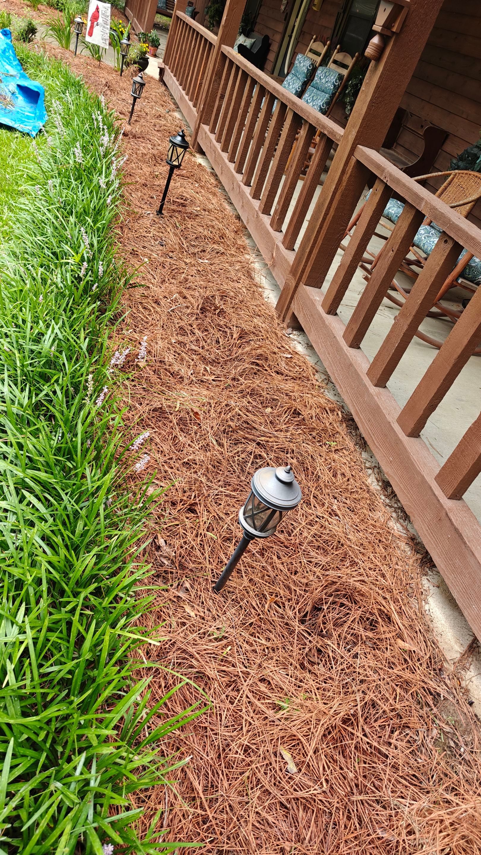 Weekly Landscaping  by College Bros Outdoor services