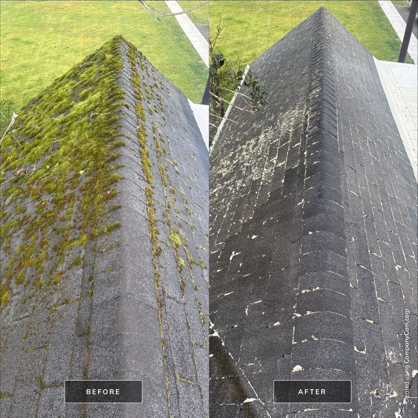 Roof Moss Eliminated - Hammond by Rolling Suds of Oregon Coast – Salem