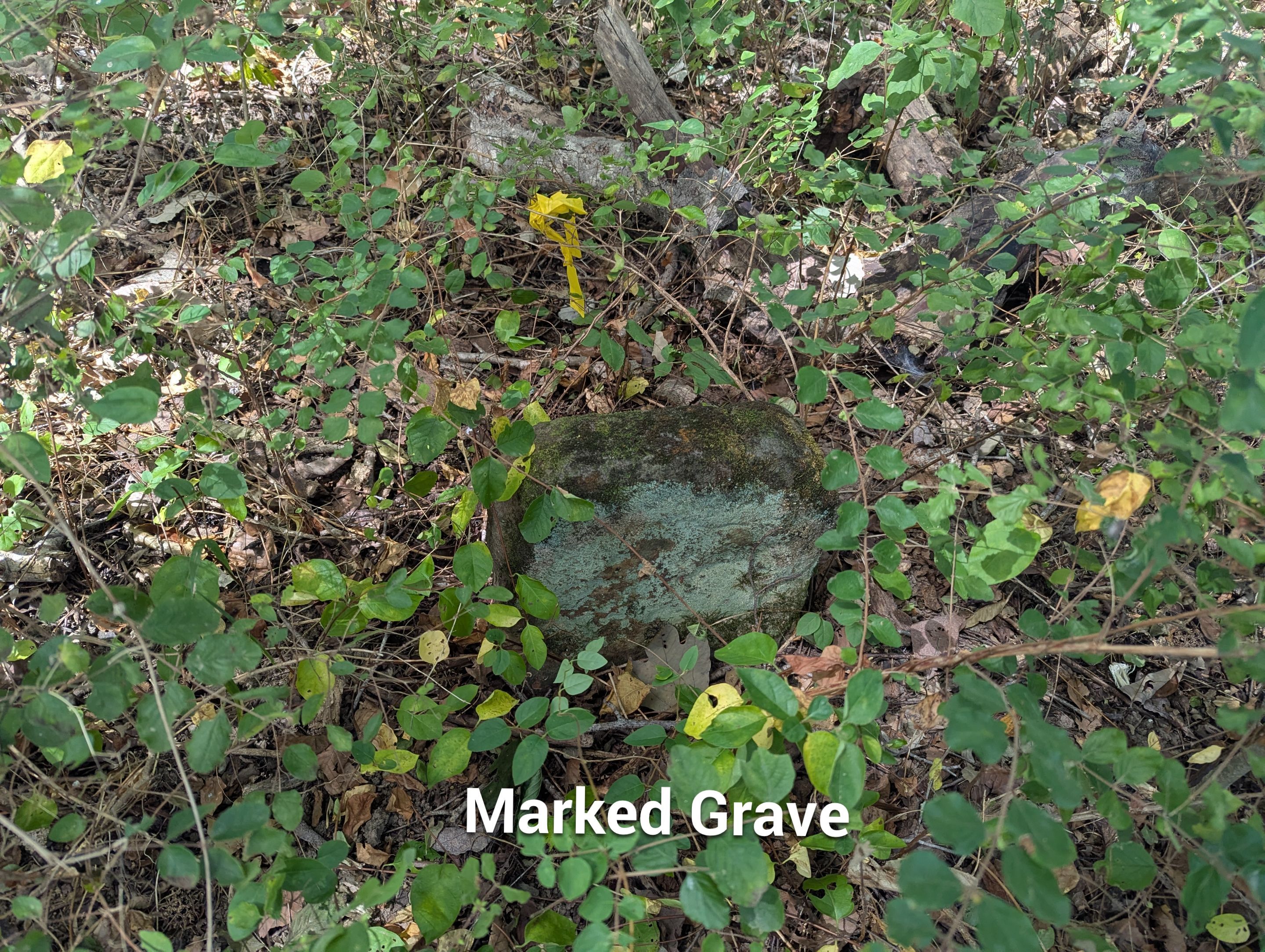 Unmarked Grave Scan by Alsip Locating Service, LLC