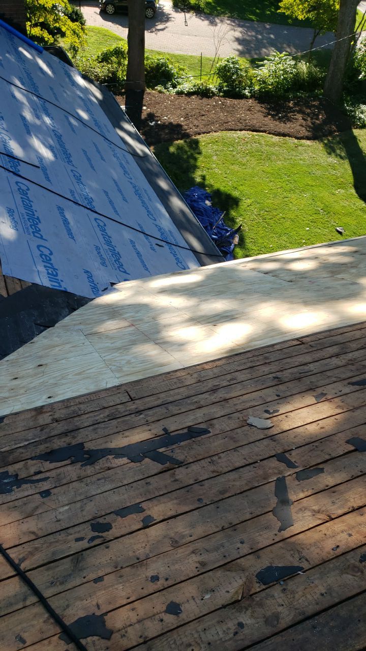 Alexandria Roof Project - CertainTeed Landmark Pro Max Def Charcoal Black Shingles by RM Banning, Inc.