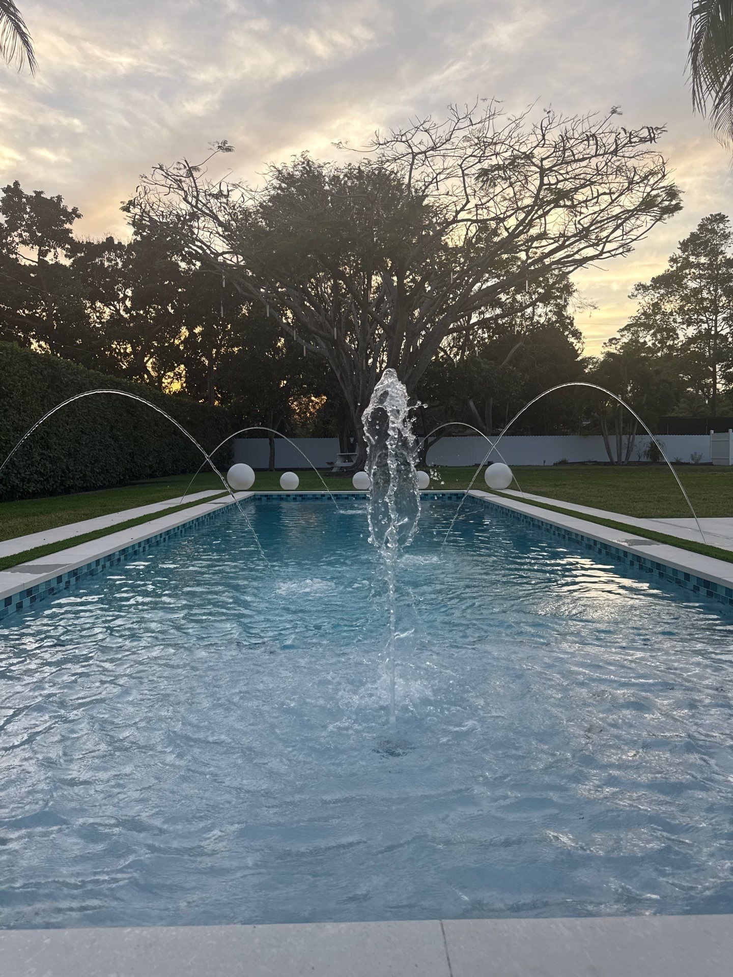 Project in South Miami by ROSMEL POOLS INC