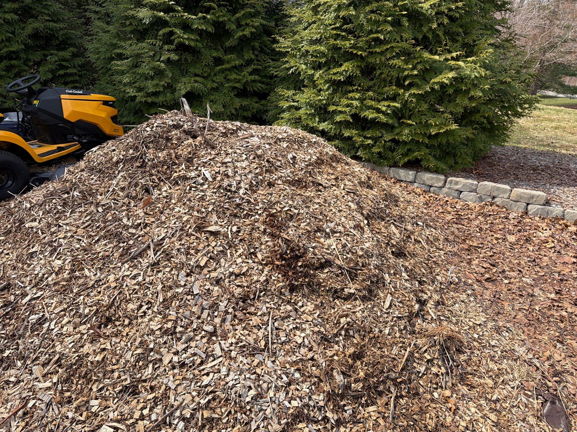Comprehensive Spring Cleanup and Landscape Bed Mulching in Orange by Diamond Image LLC