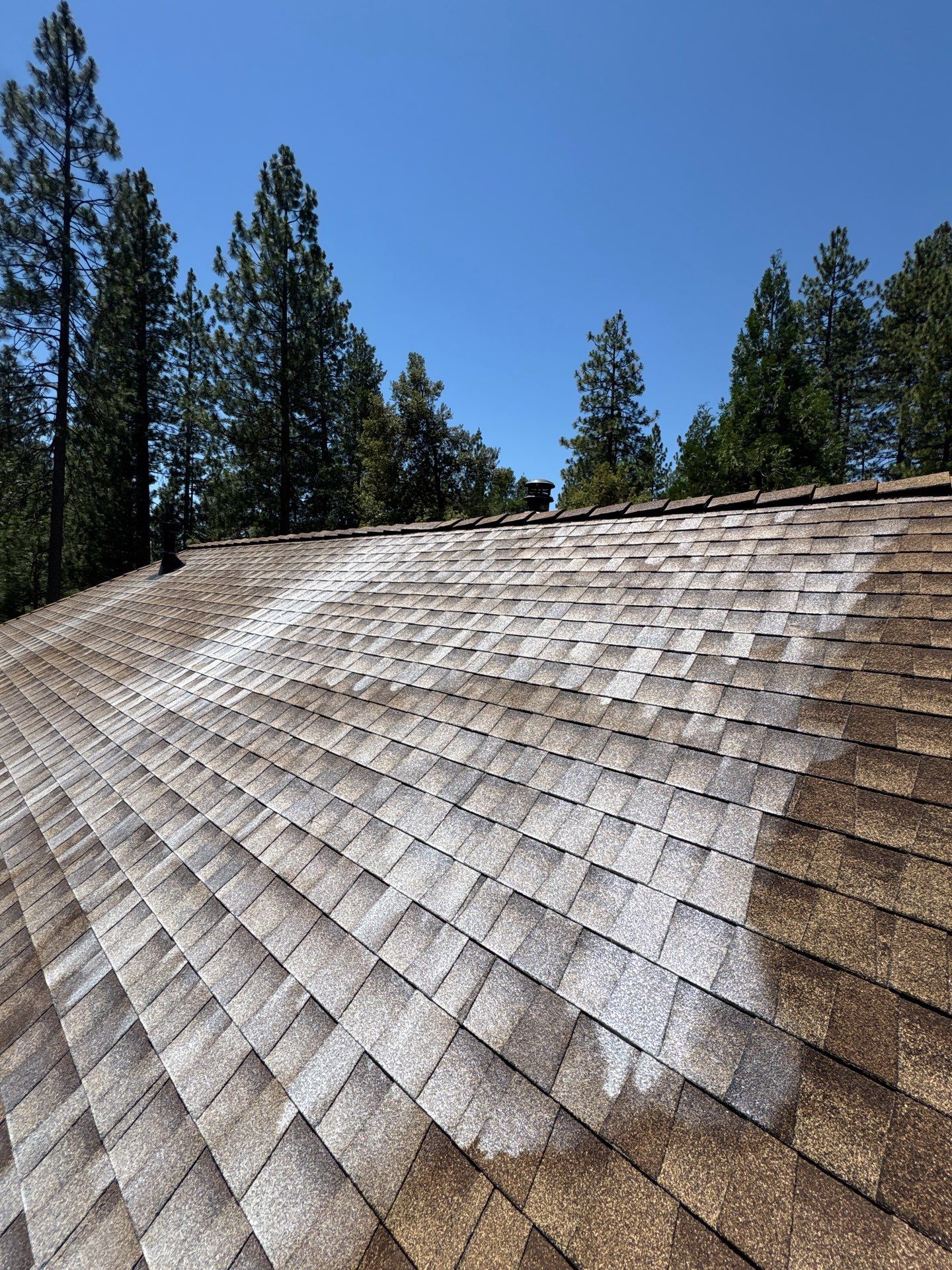 Roof Rejuvenation using Roof Maxx Treatment by Roof Maxx of Folsom