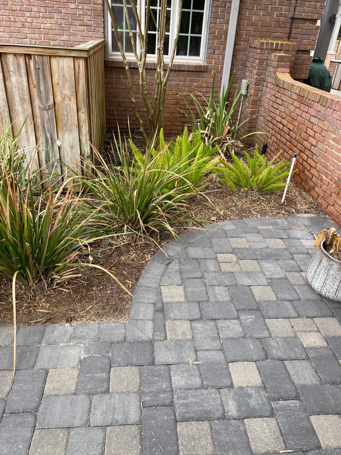 Deerwood Resident | Tree Removal & Mulch Install by ProGreen Services