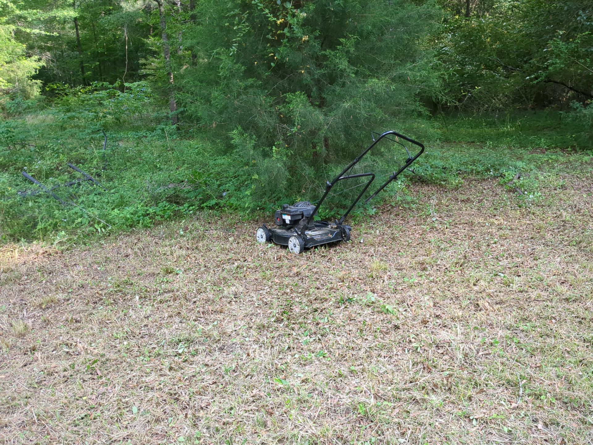 Exterior Clearing - tree trimming - grass cut by Swift Signings and Services LLC