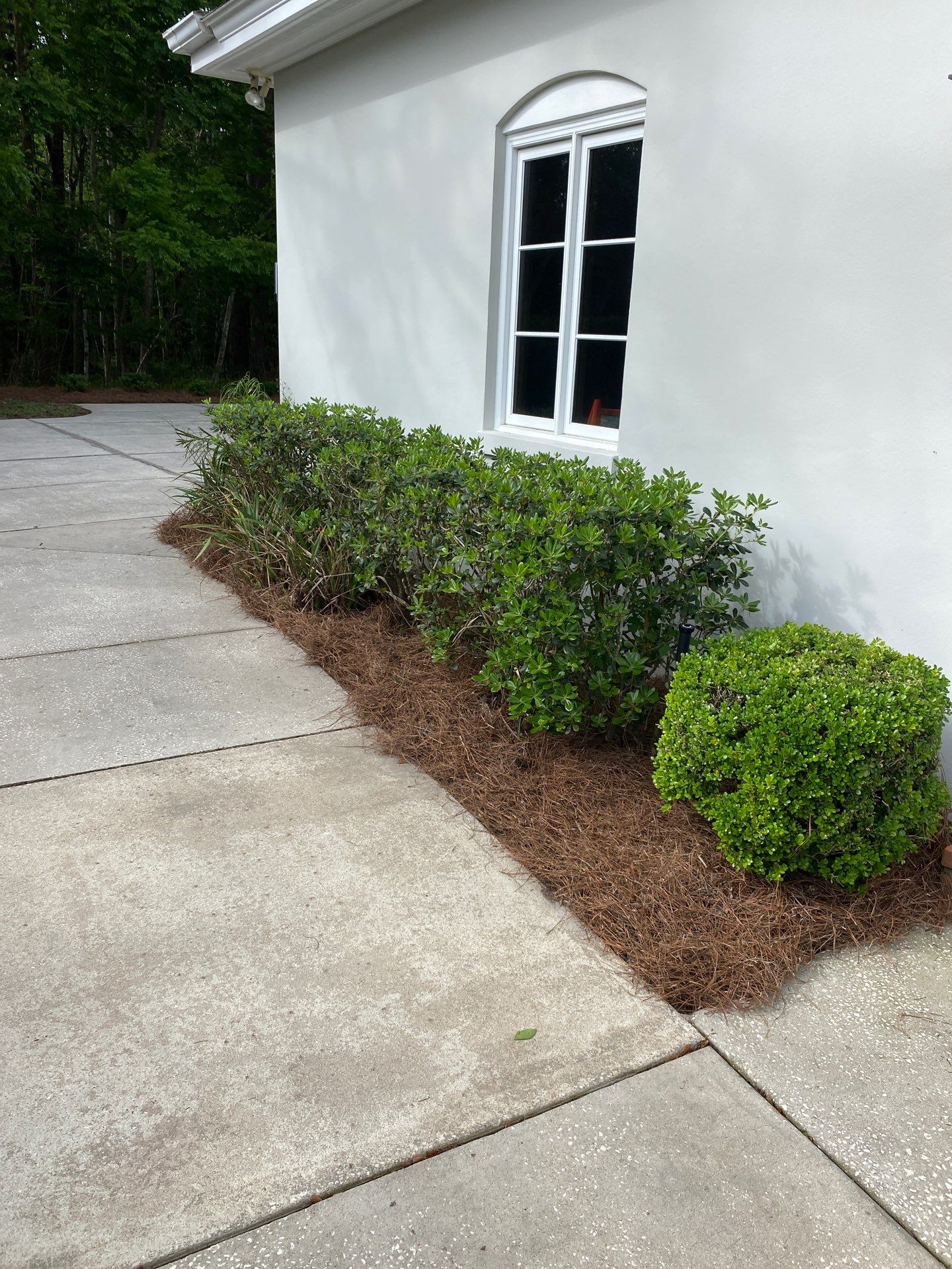 Deerwood Resident | Pine Straw Installation by ProGreen Services