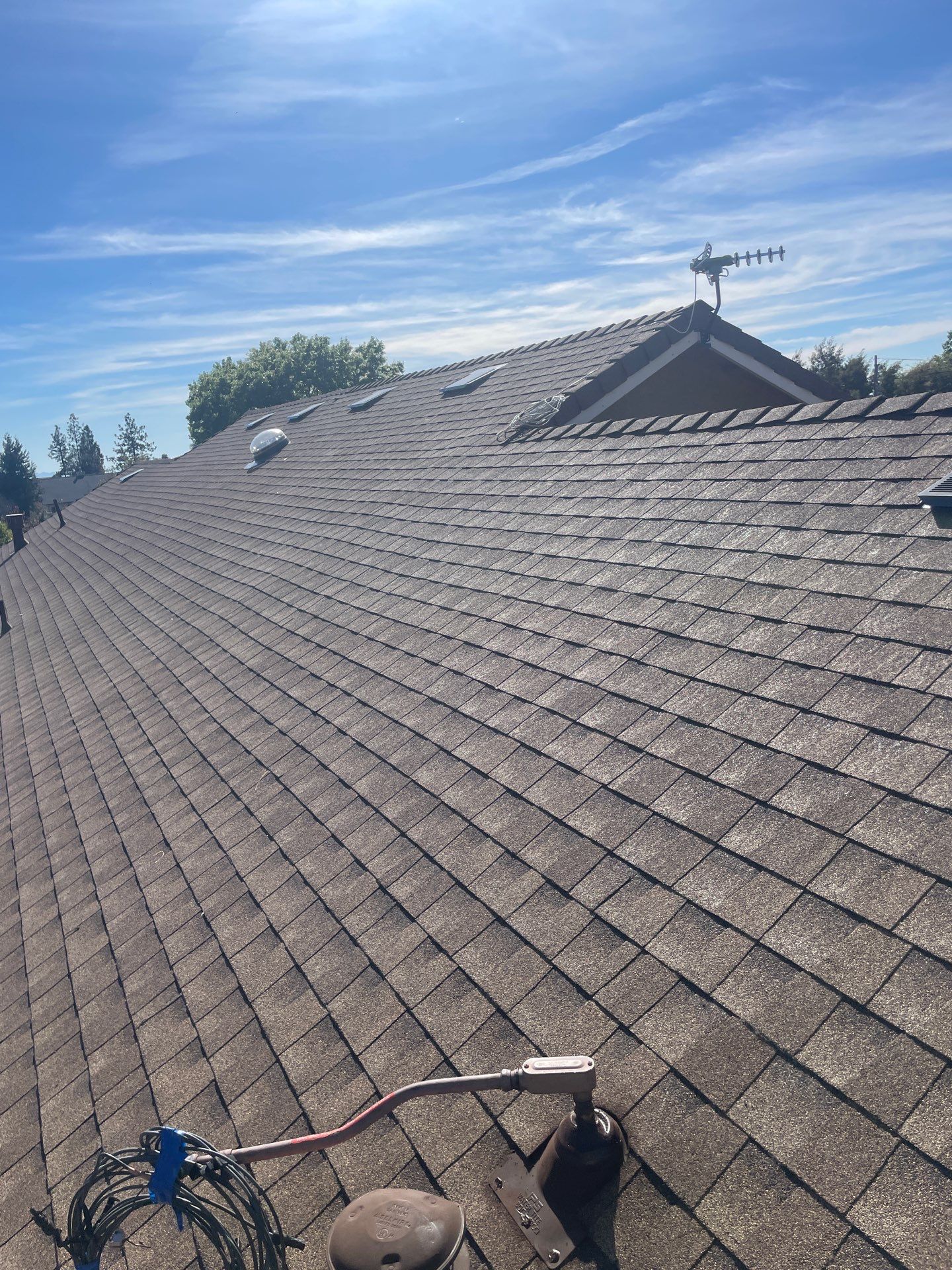 Paradise Shingle by Butte Roofing Company License #567600