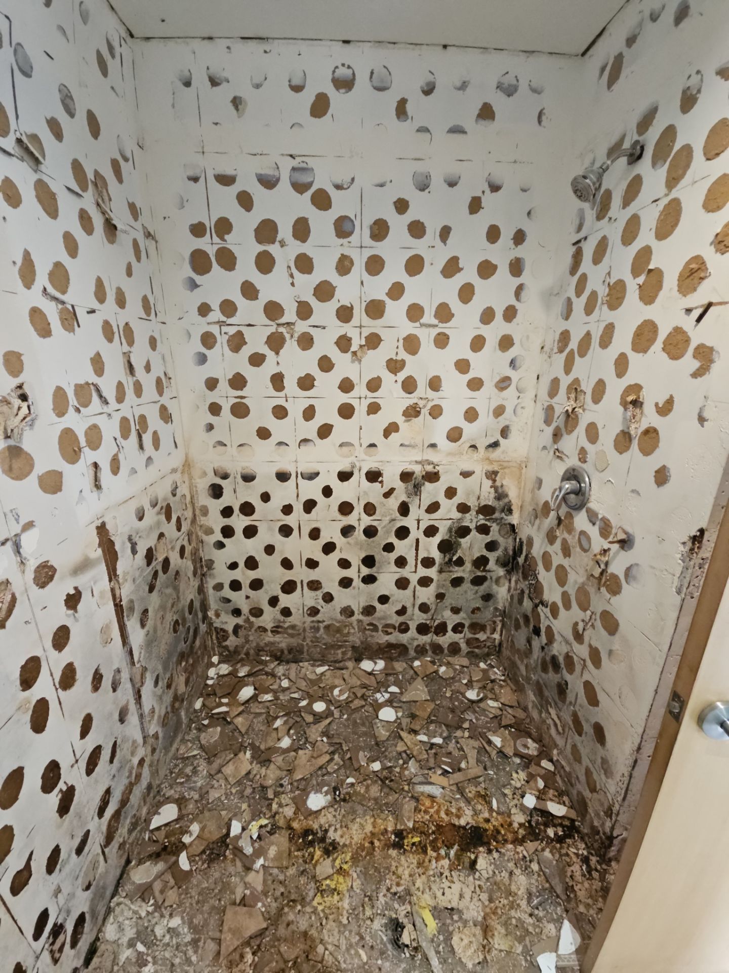 Mold removal and new shower Installation  by Eco-Nature Construction Inc.