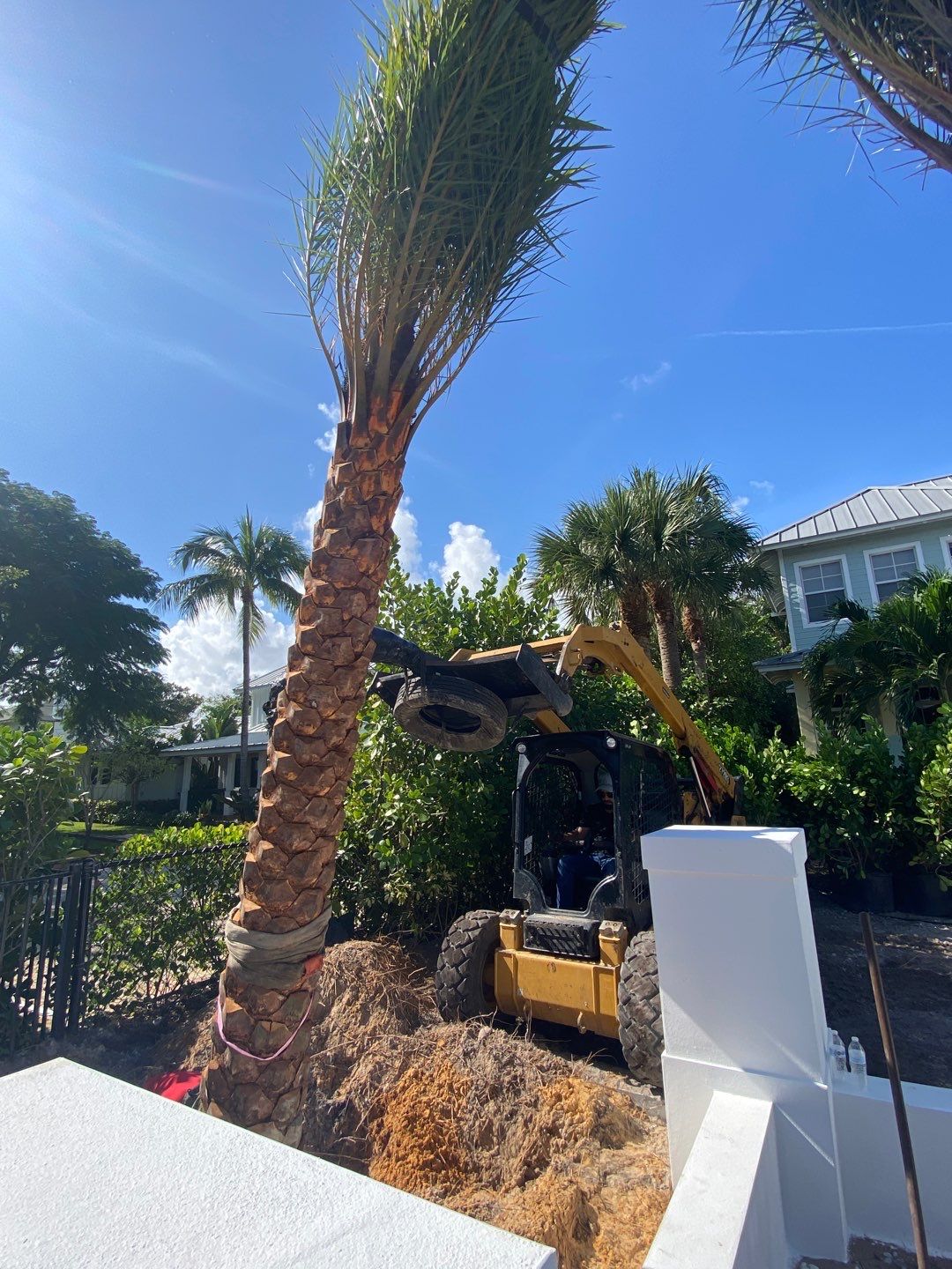 Hazard  by The Landscaping People