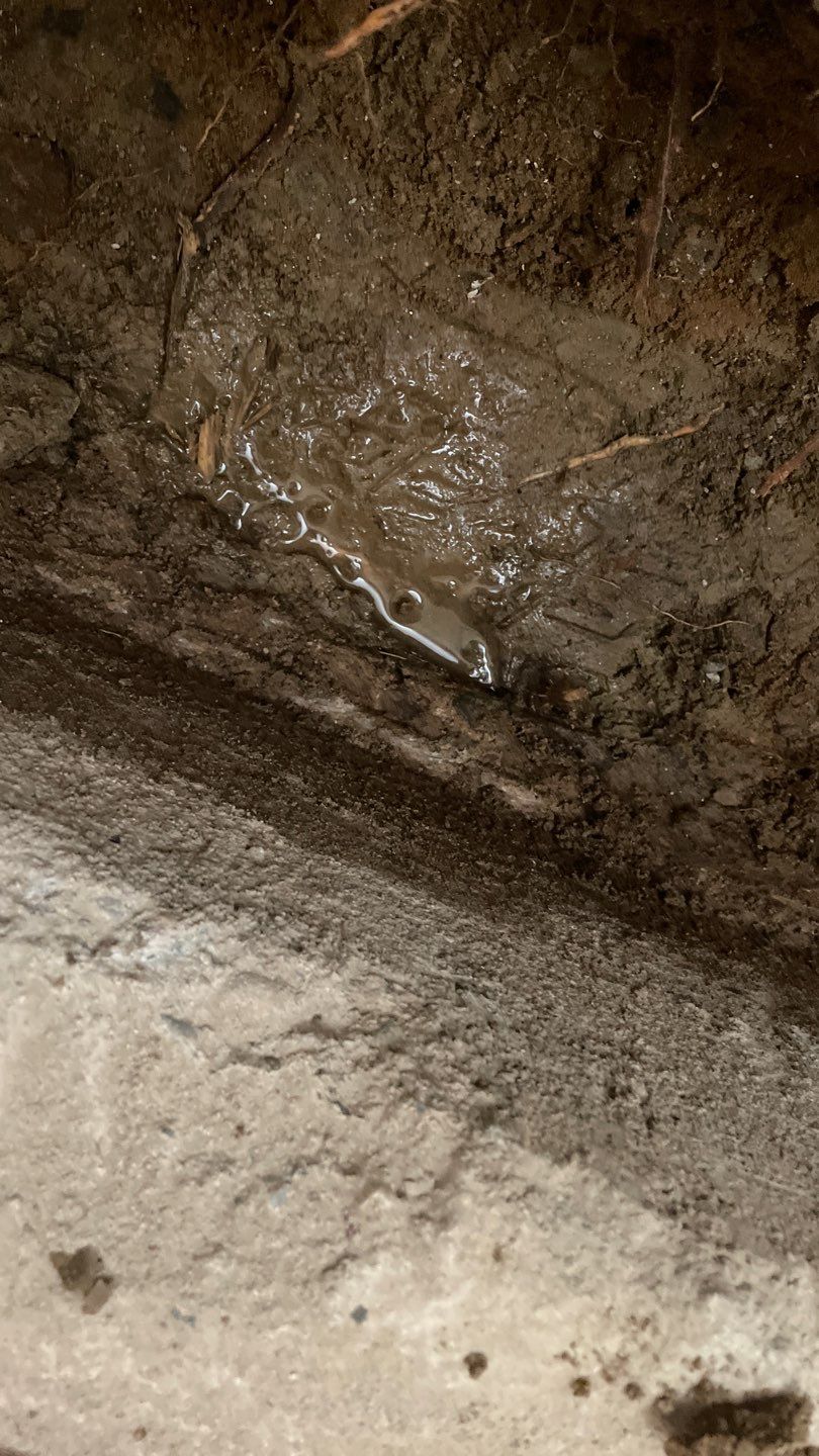 Basement Waterproofing for Kristi & Danny in St. Paul by Waterproofing Northeast