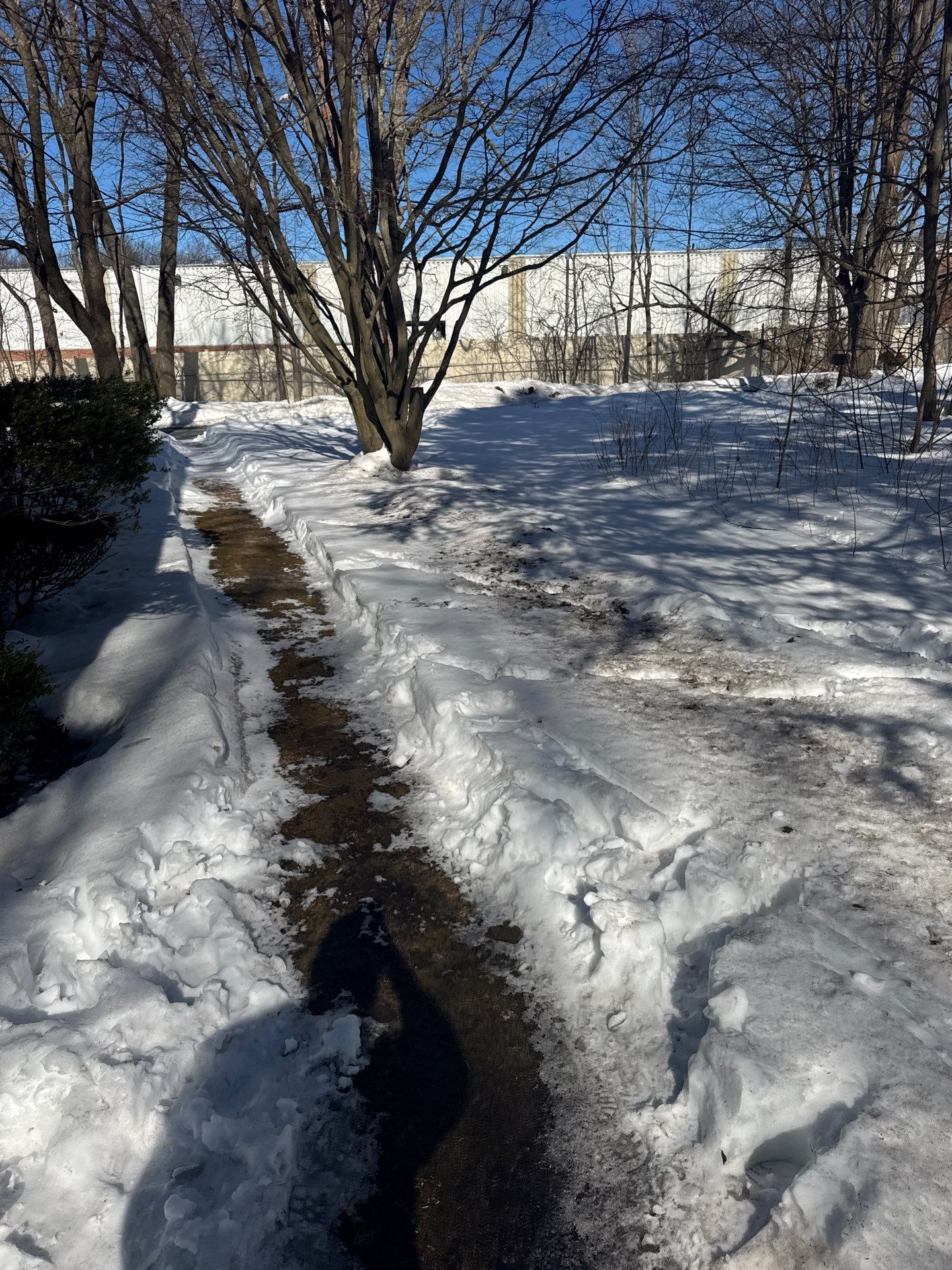 Snow/Ice Belt & Ice Dam Removal Project in Woburn by Mighty Dog Roofing of Greater Middlesex County