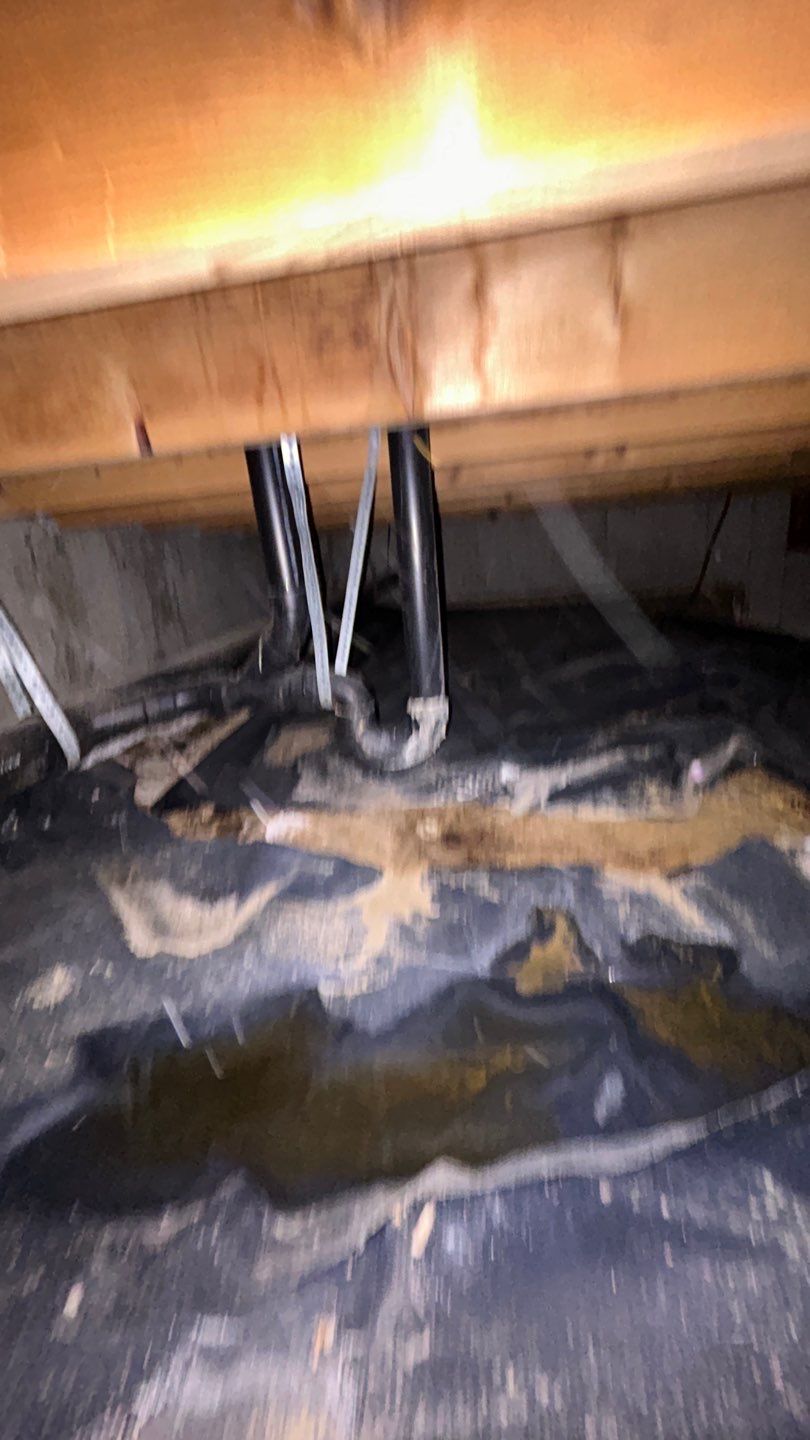 Mold Damage by Accountable Home Services
