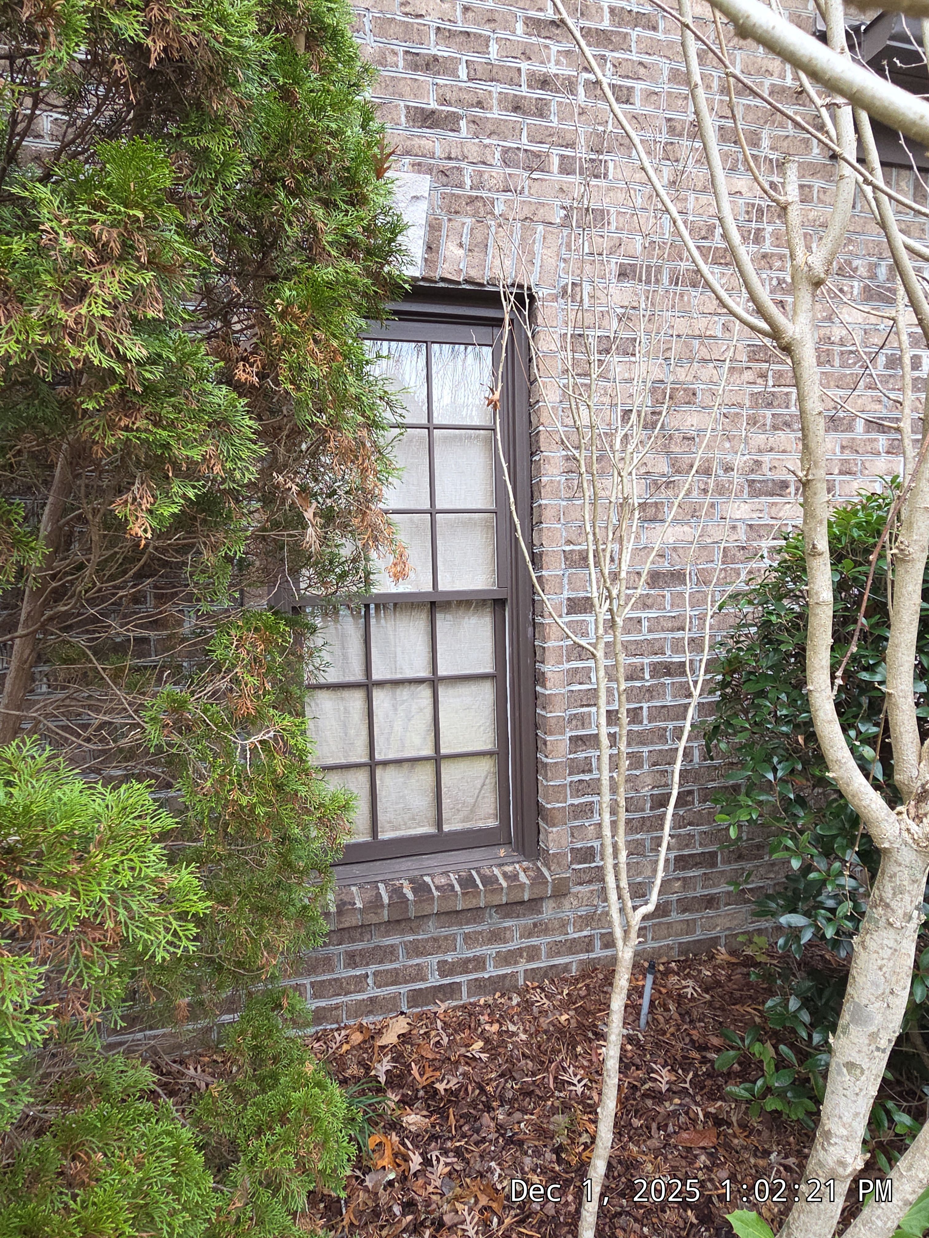 Lewis Project in Hoover by The Window Source