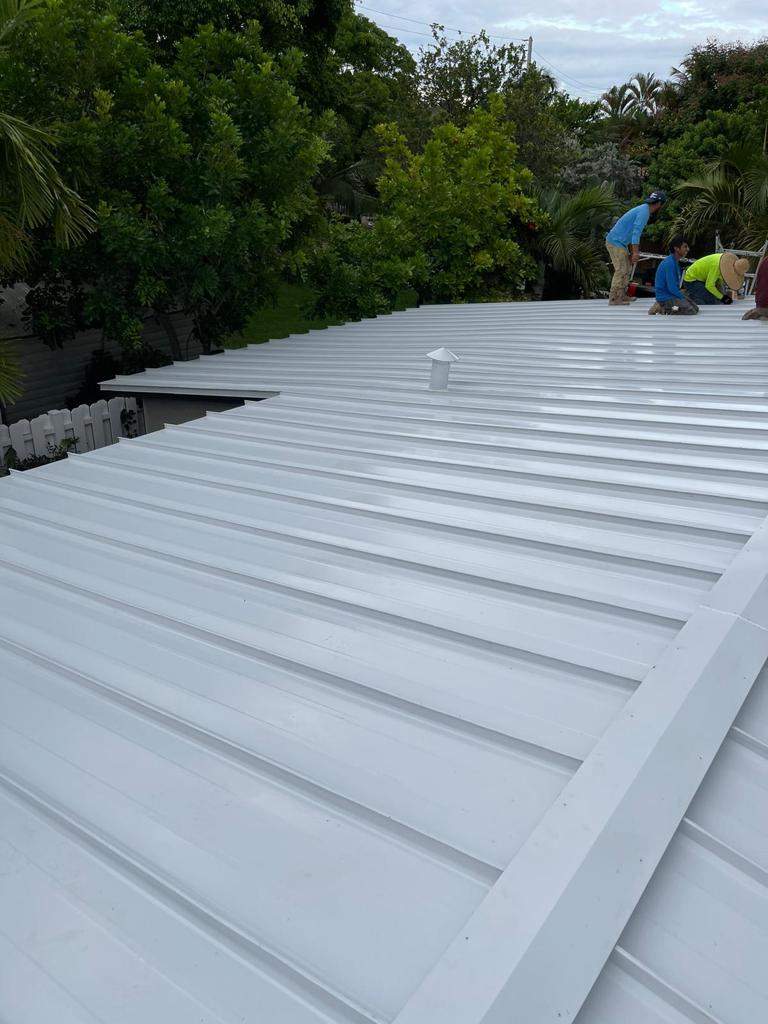 Metal Roof - Galvalume - Regal White by Istueta Roofing