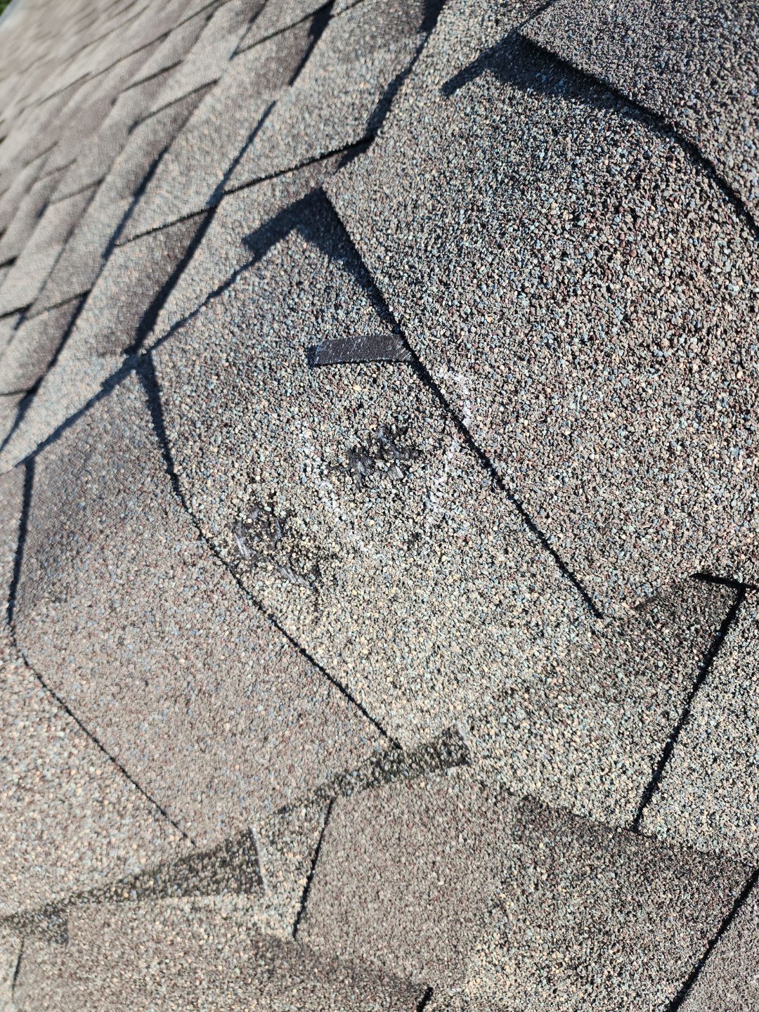 Impact Resistant Shingle  by Tex-Line Roofing