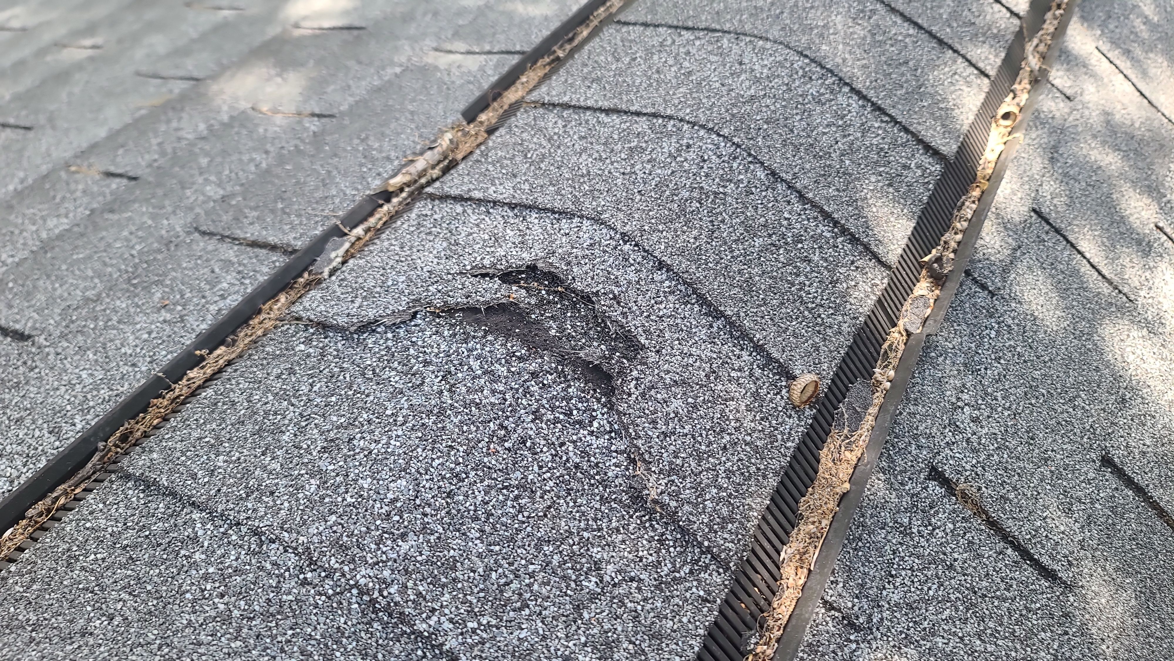 Residential Roofing + Gutters & Downspouts Install  by Titan Commercial & Residential Roofing 