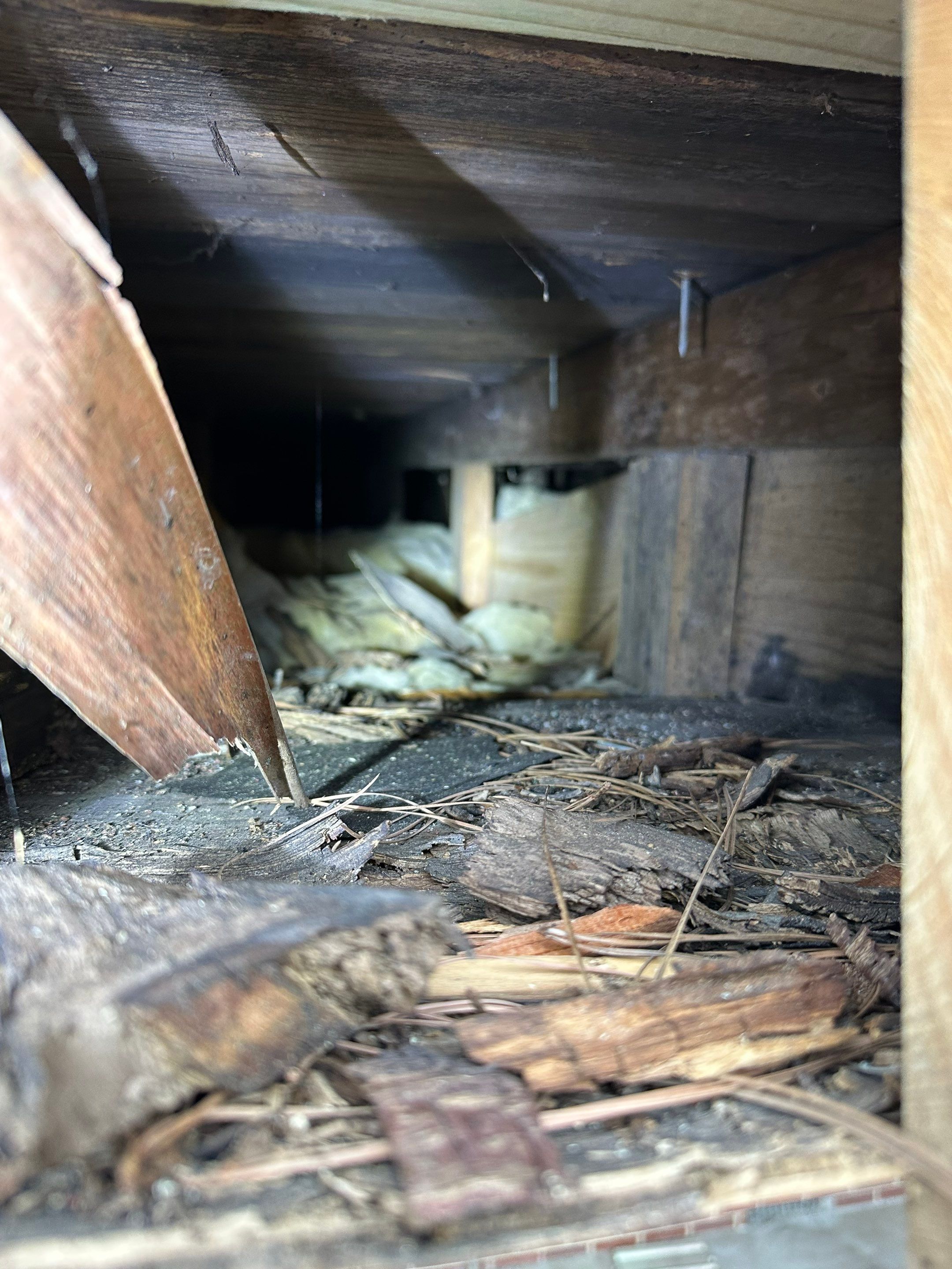 Project in Kinston, NC by Ironclad Builders LLC