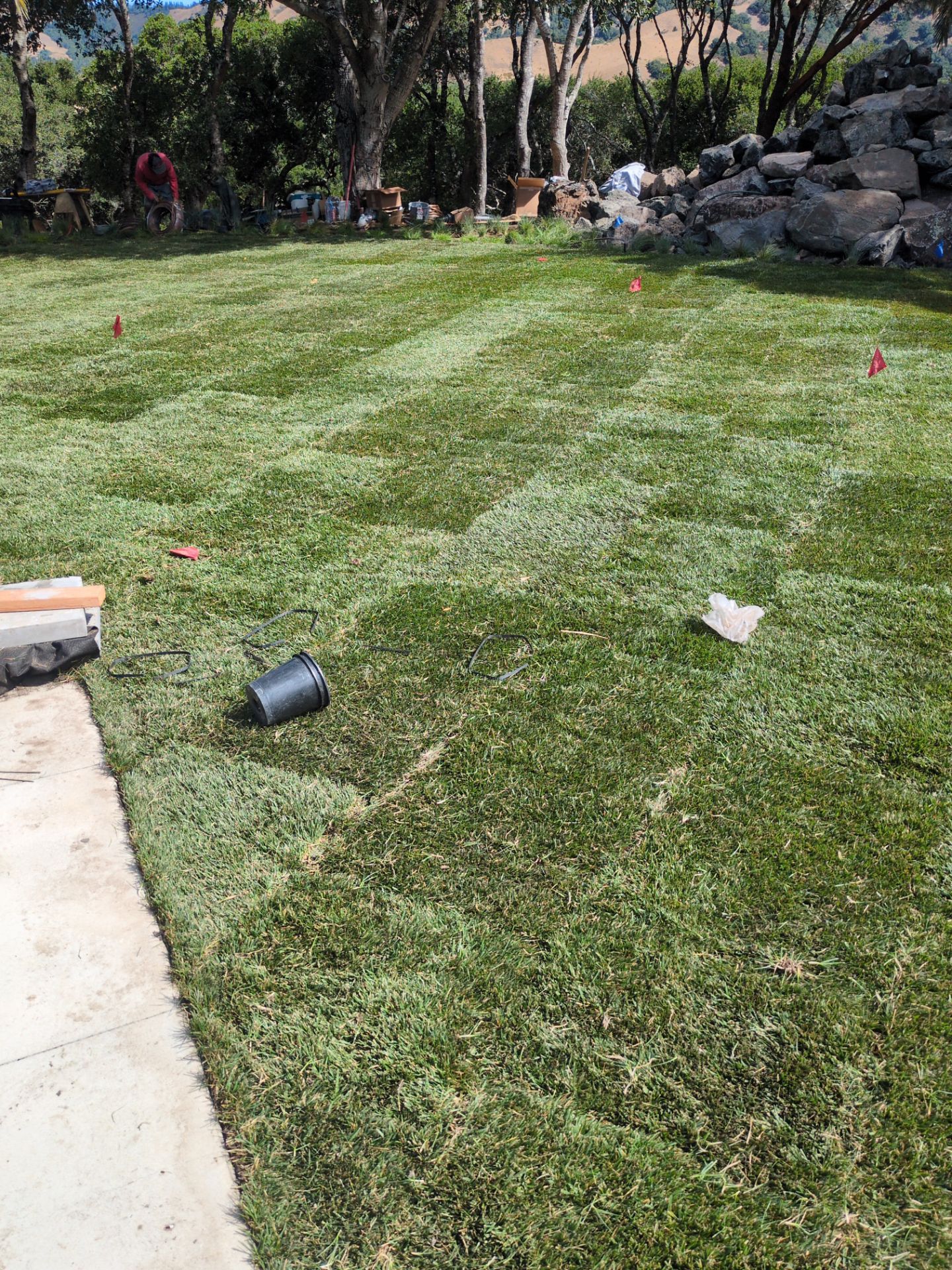 Project in Nicasio by A - G Sod Farms